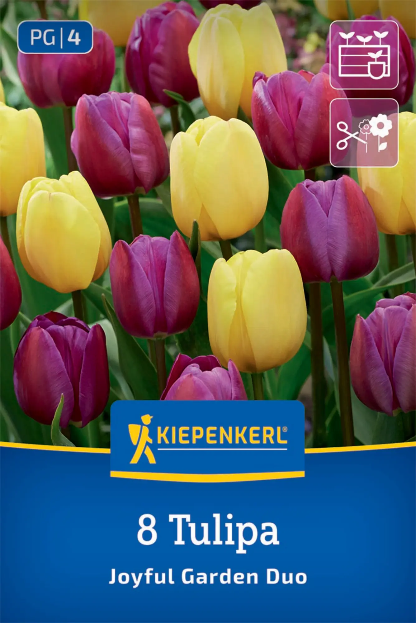 Kiepenkerl Herbstblumenzwiebel Tulpen Mischung Joyful Garden 8 Stück