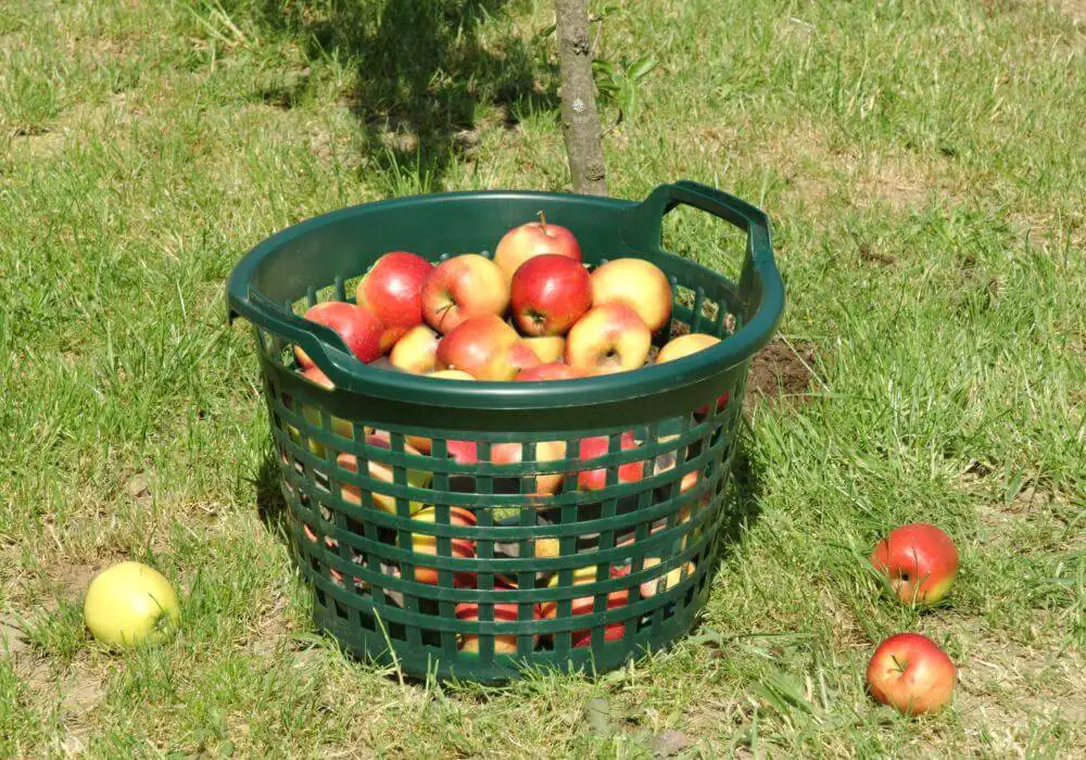 Floraworld Gartenkorb 22 l Floraworld Gartenkorb 22 l