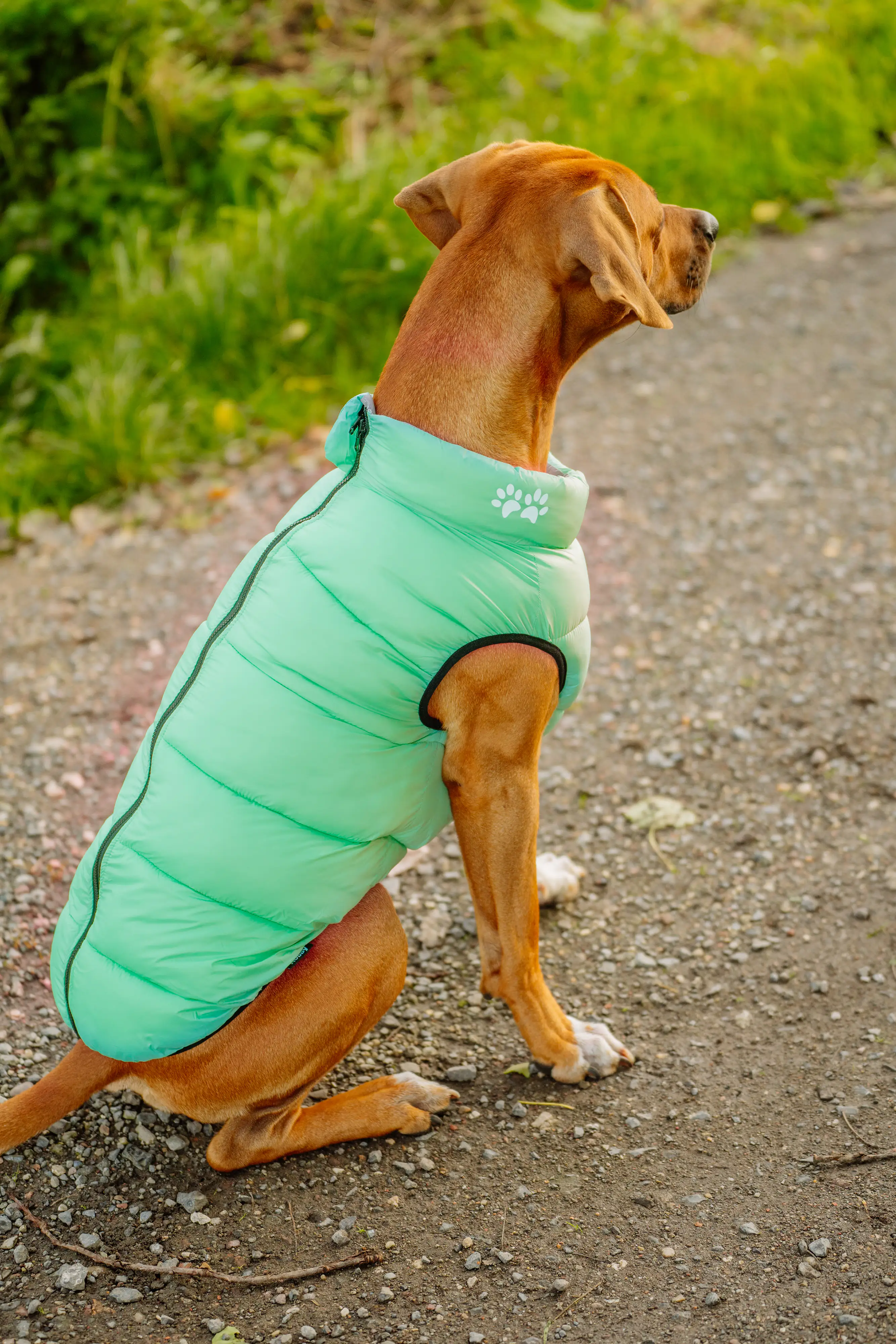 Nobby Hundemantel Light cascade grau