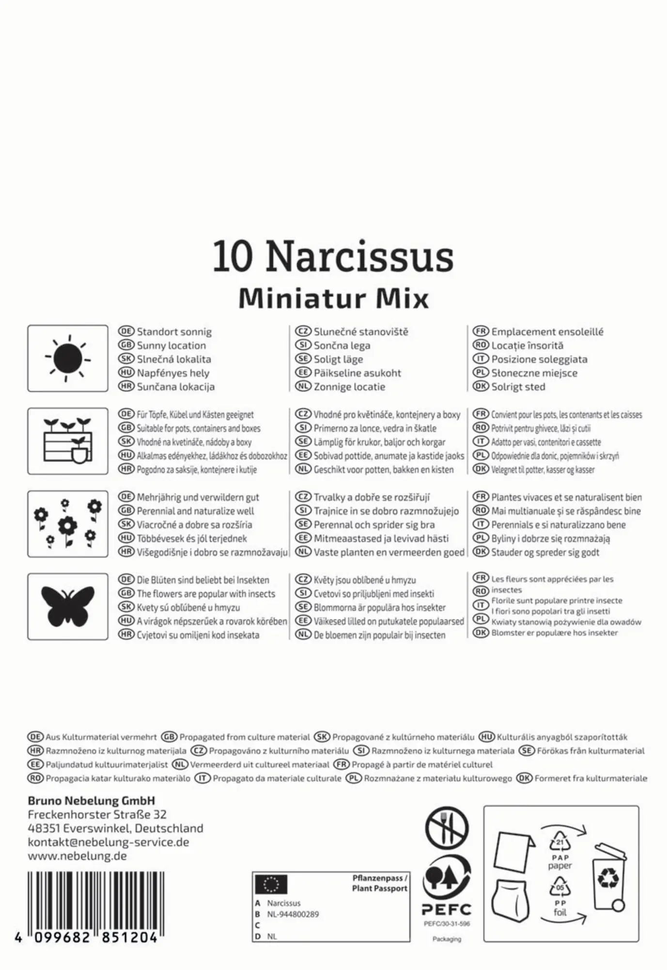 Kiepenkerl Herbstblumenzwiebel Miniatur-Narzissen Mischung 10 Stück