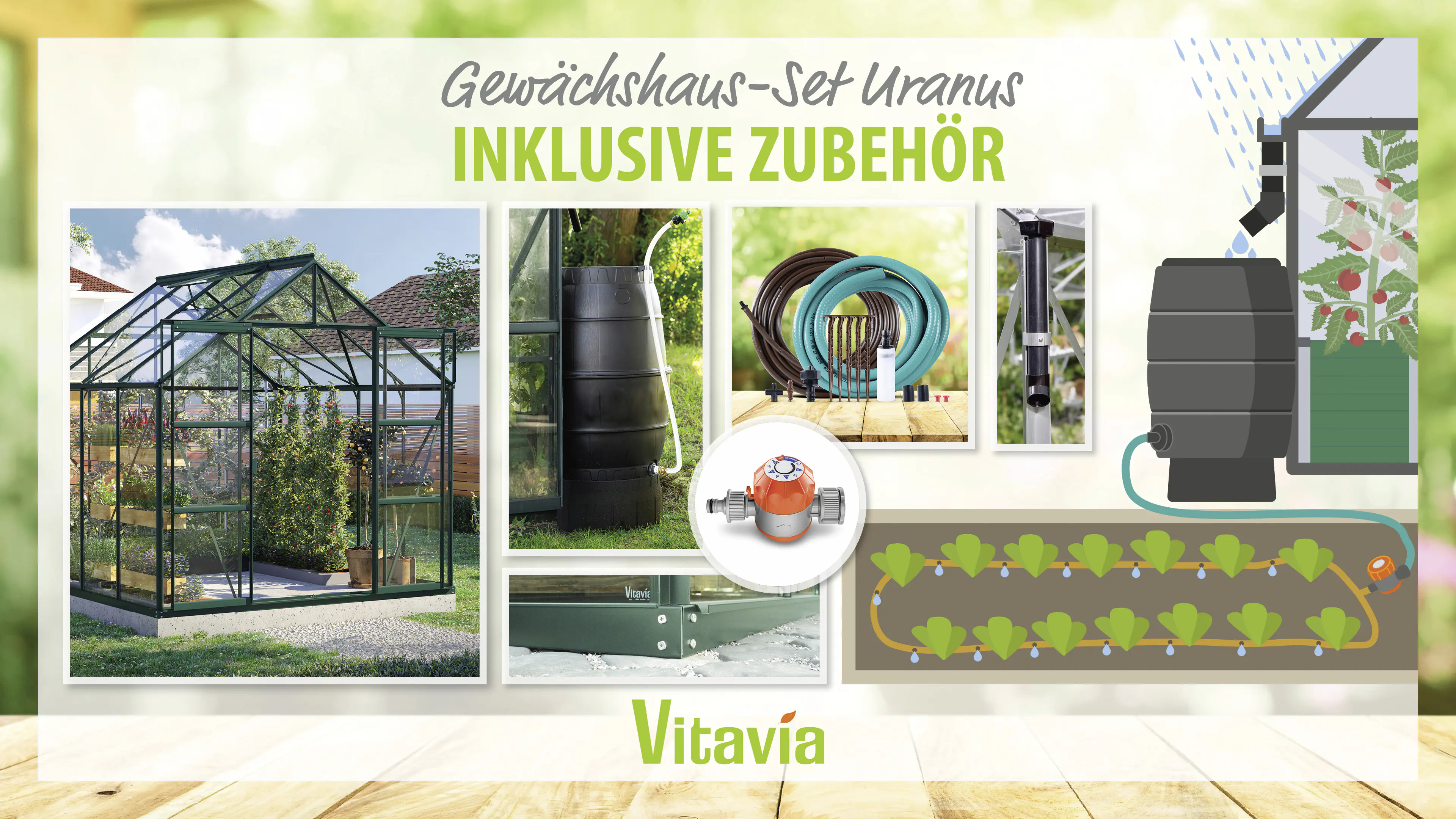 Vitavia Gewächshaus-Set Uranus 6700 ESG 3 mm smaragd 254 x 254 cm 