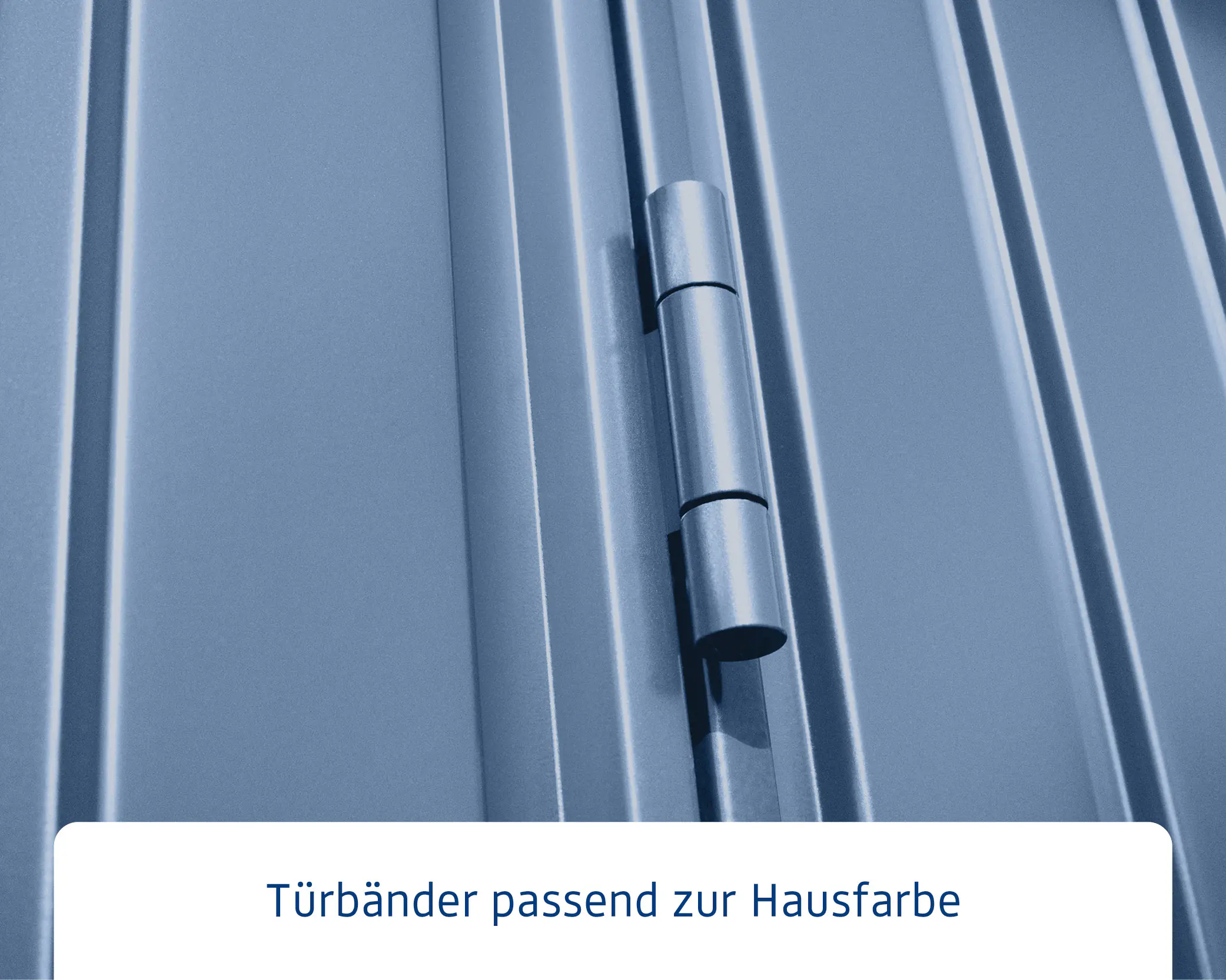 EcoStar Gerätehaus Trend-P Typ 3 312,7 x 283,4 x 232,3 cm taubenblau