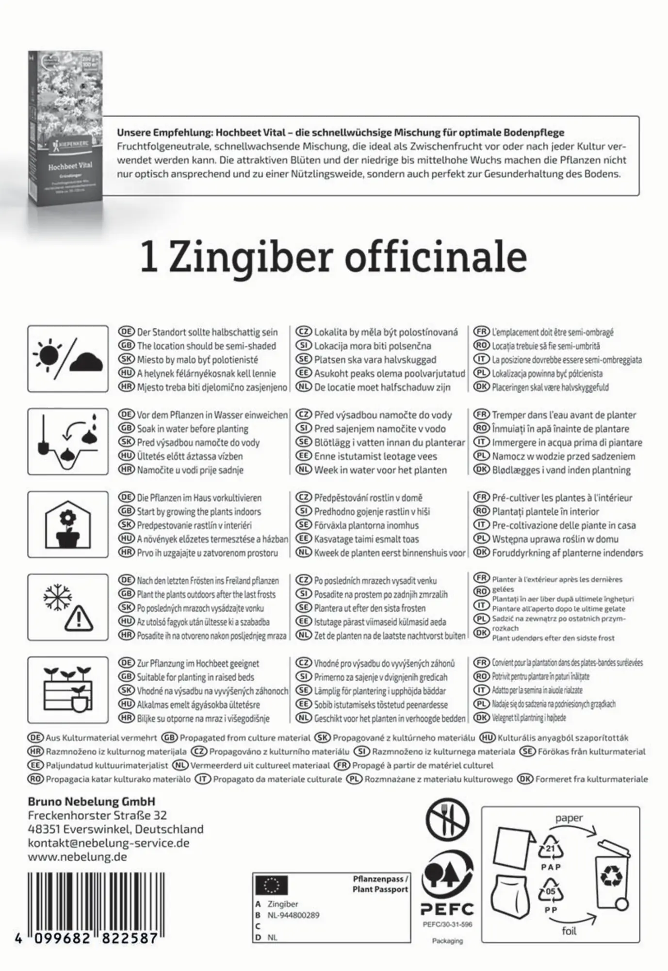 Kiepenkerl Pflanzgut Ingwer Zingiber officinalis 1 Stück