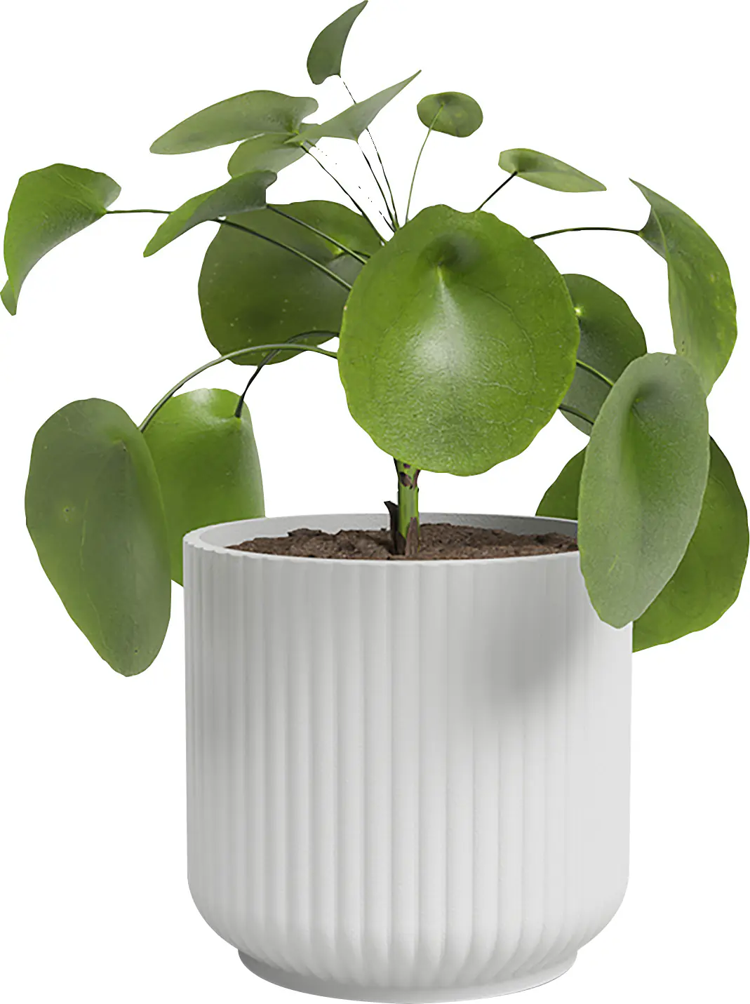 Artevasi Übertopf Luna Keramik weiß matt Ø 12 x 11 cm 