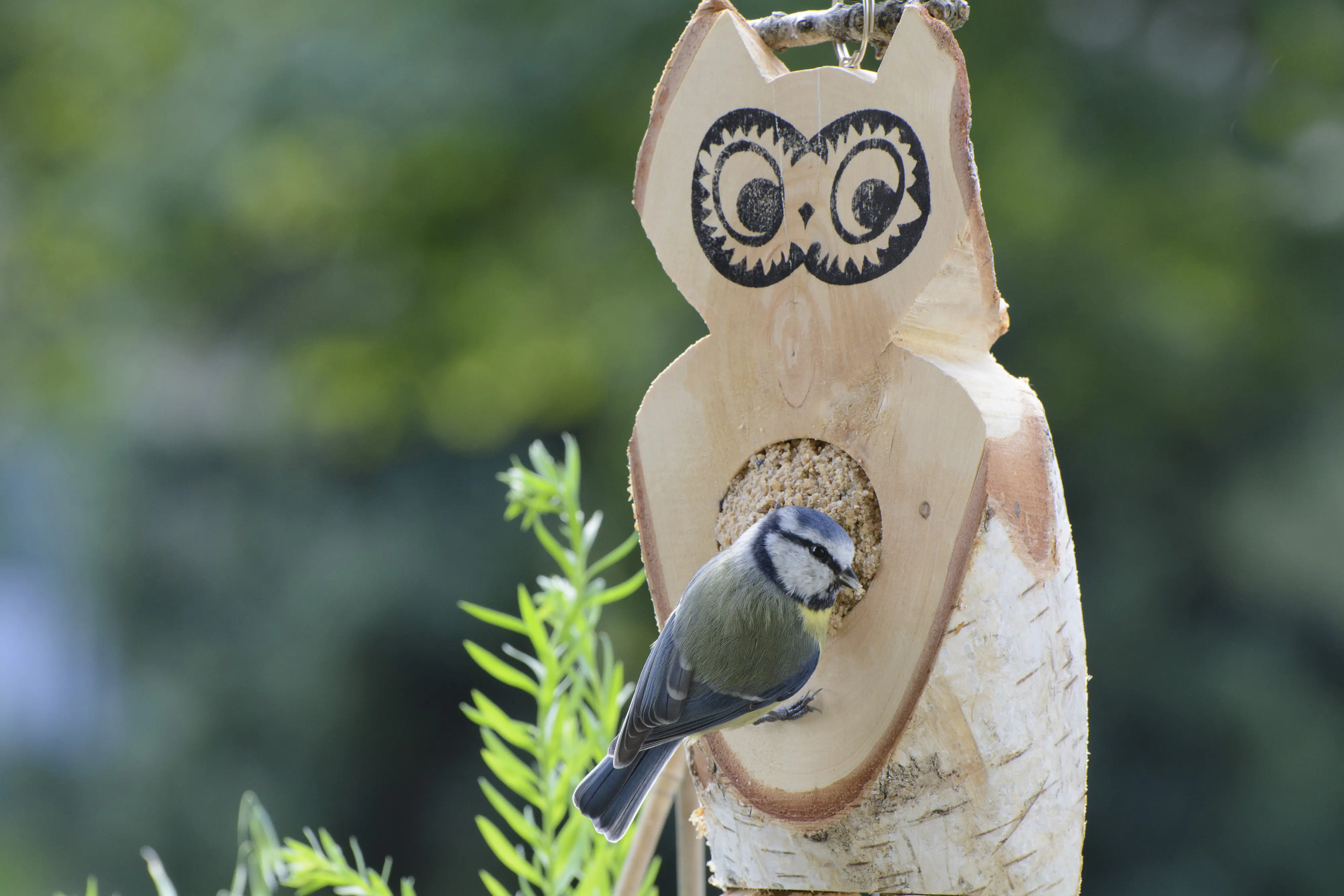 Dobar Vogel Futtereule 36 x 25 x 13 cm braun