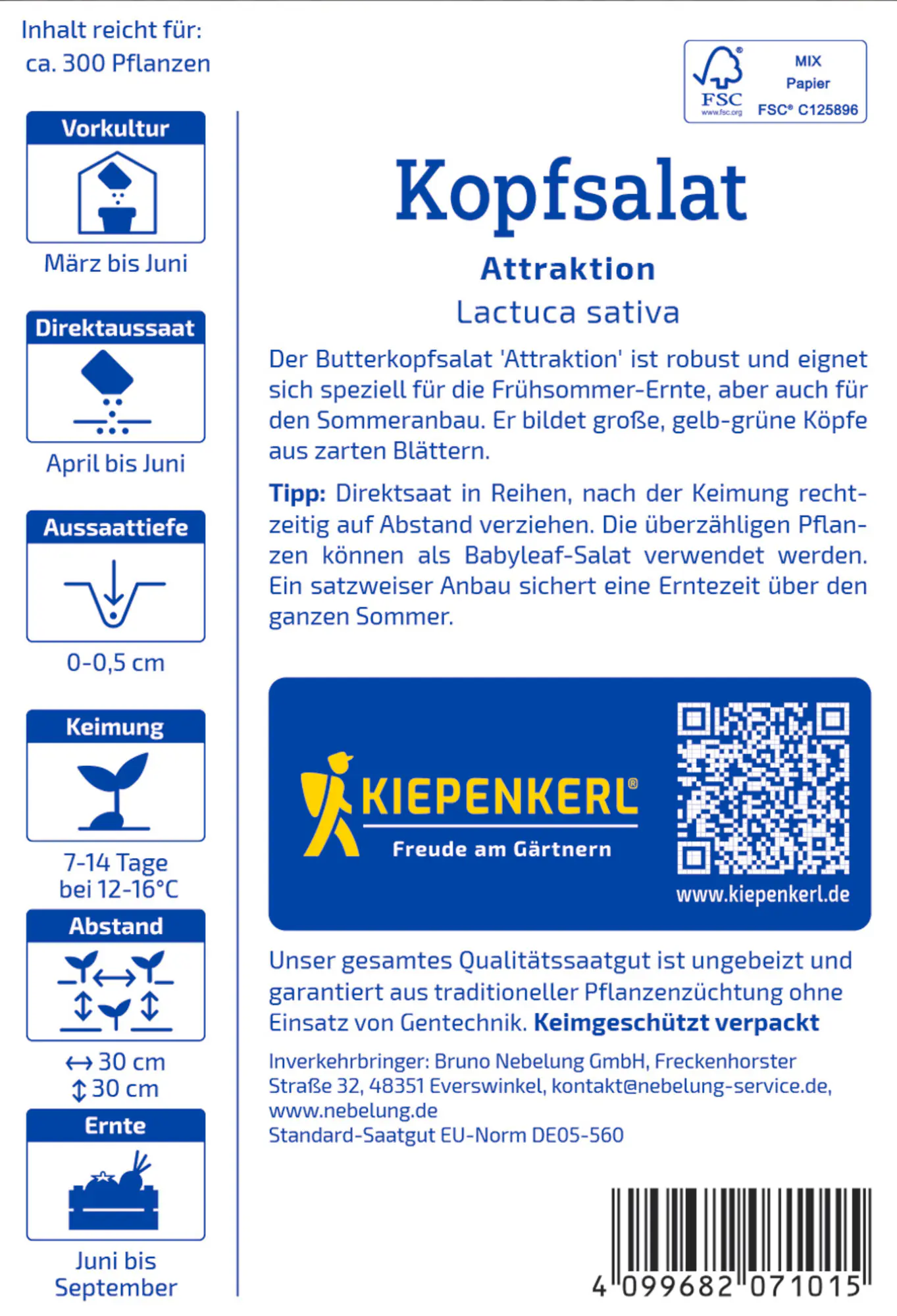 Kiepenkerl Saatgut Kopfsalat Attraktion für ca. 300 Pflanzen
