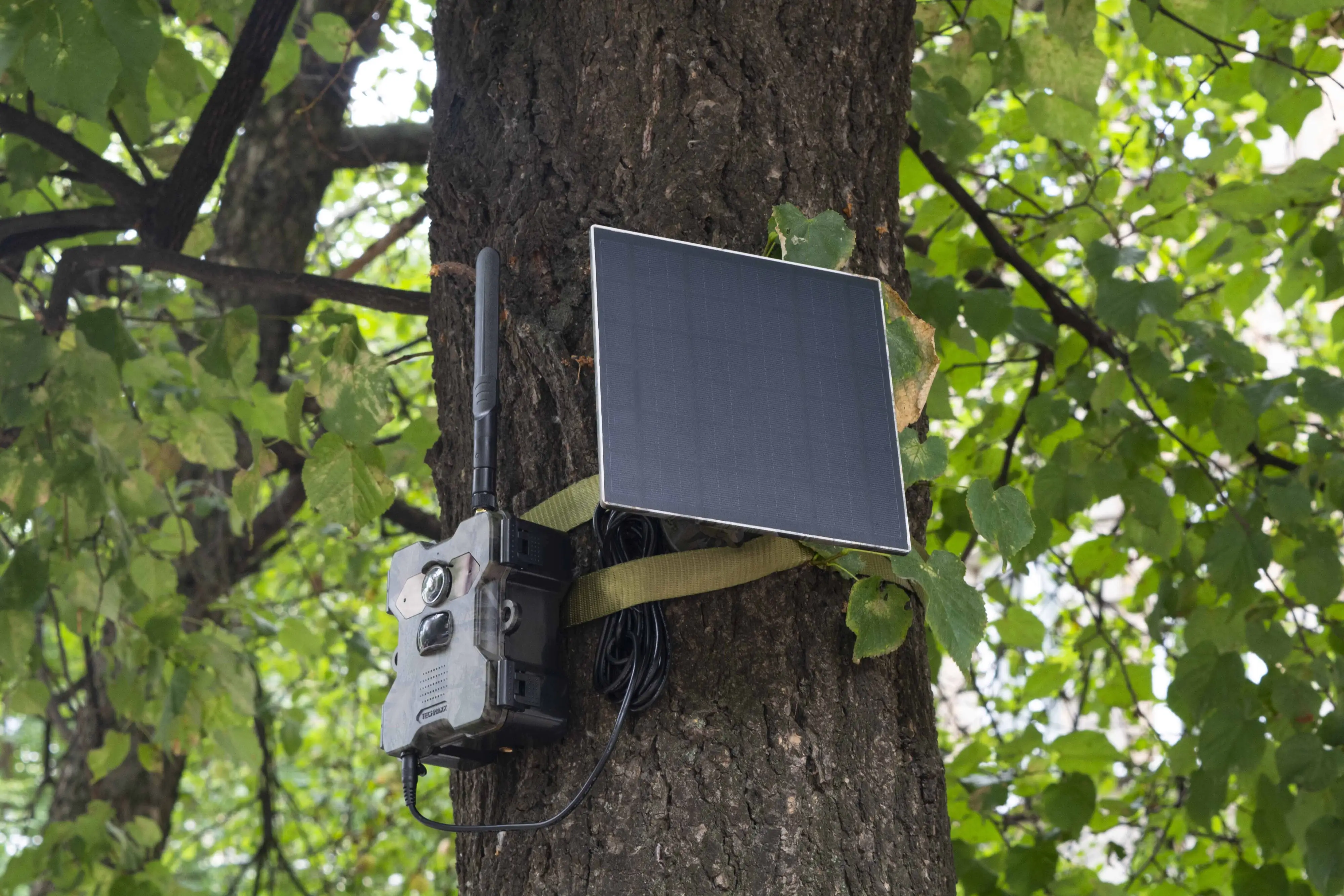 Technaxx 4G Solar-Wildkamera TX-189 Technaxx 4G Solar-Wildkamera TX-189