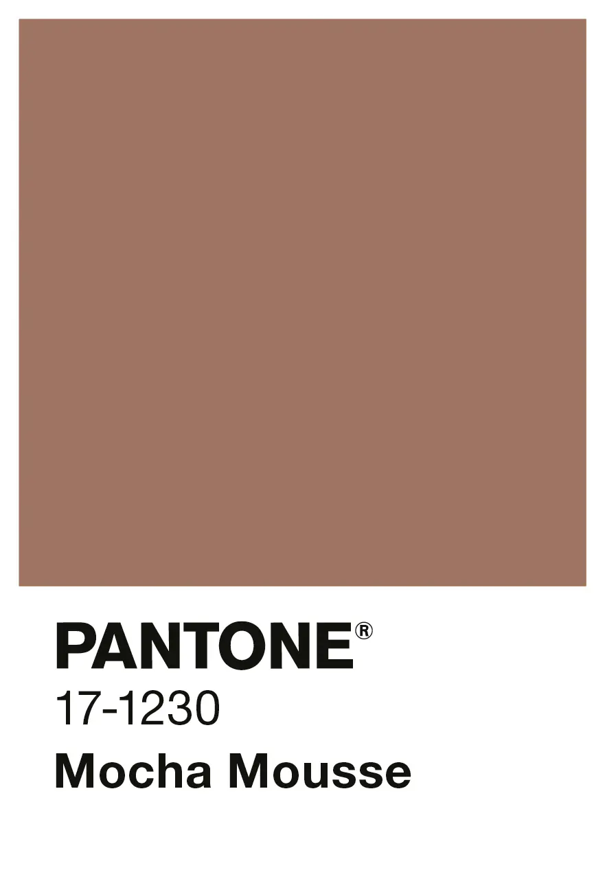 Alpina Wandfarbe Pantone matt mocha mousse 2,5 L