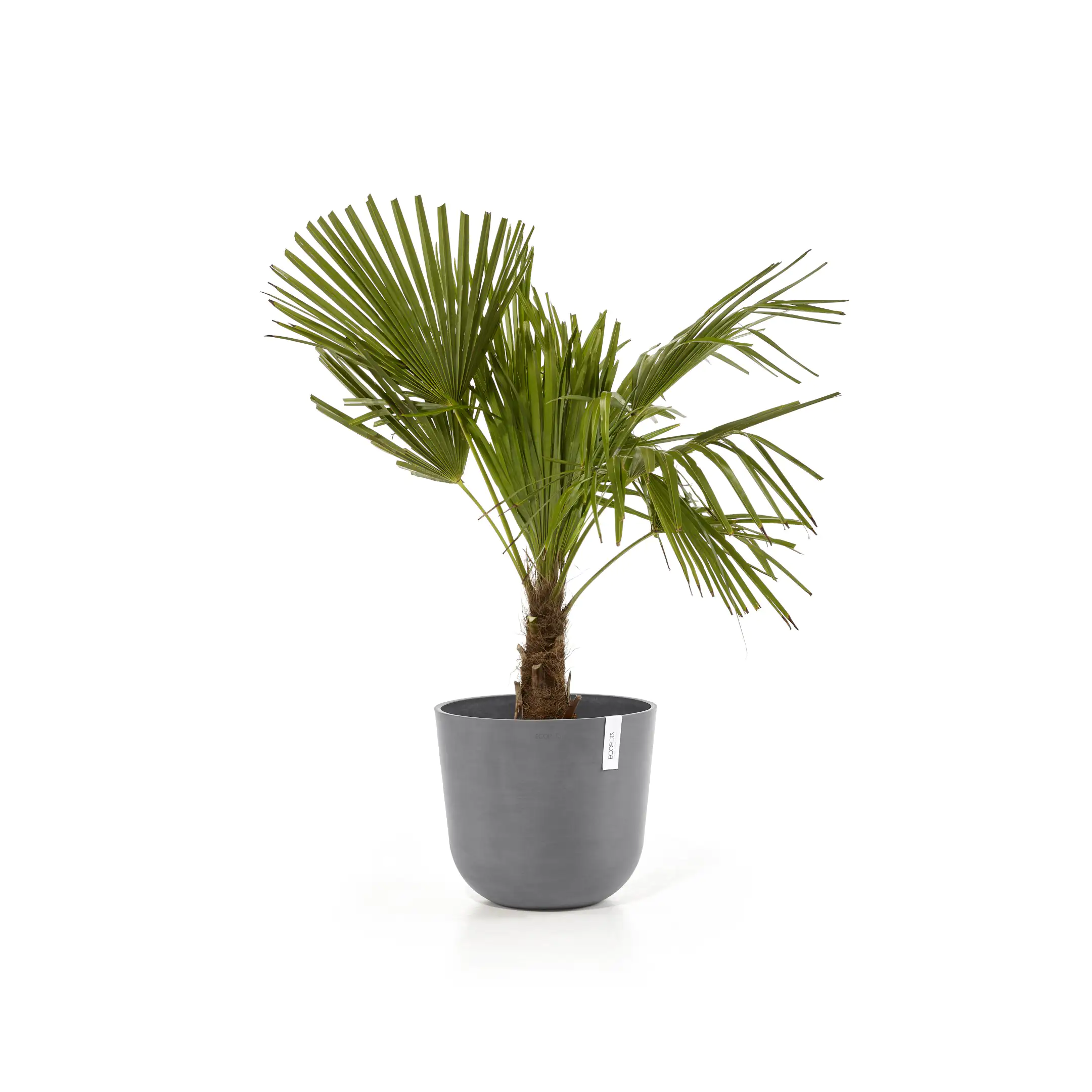 Ecopots Pflanztopf Oslo Ø 35 x 30,5 cm grau Ecopots Pflanztopf Oslo Ø 35 x 30,5 cm grau