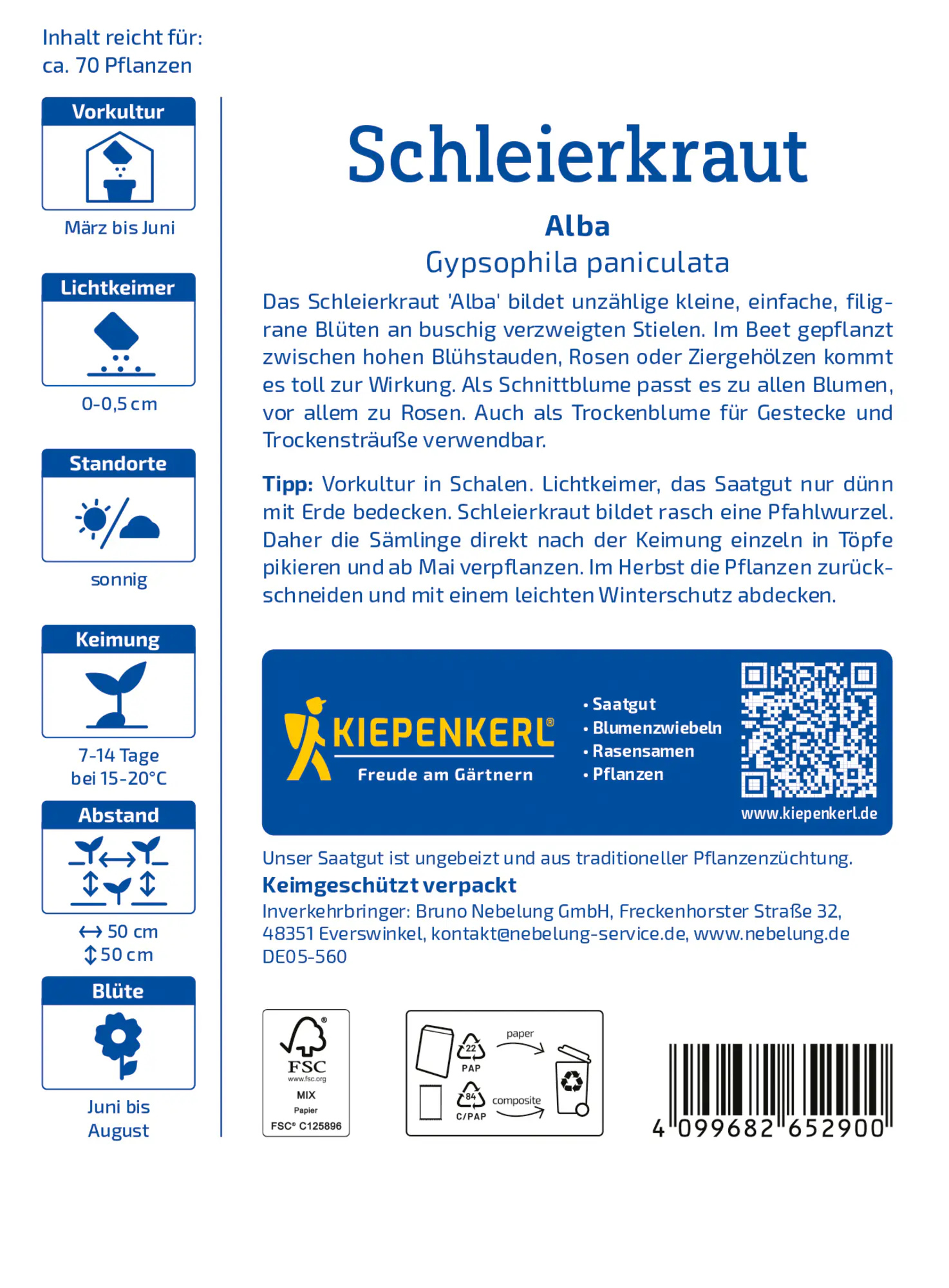 Kiepenkerl Blumensamen Schleierkraut Alba für ca. 70 Pflanzen