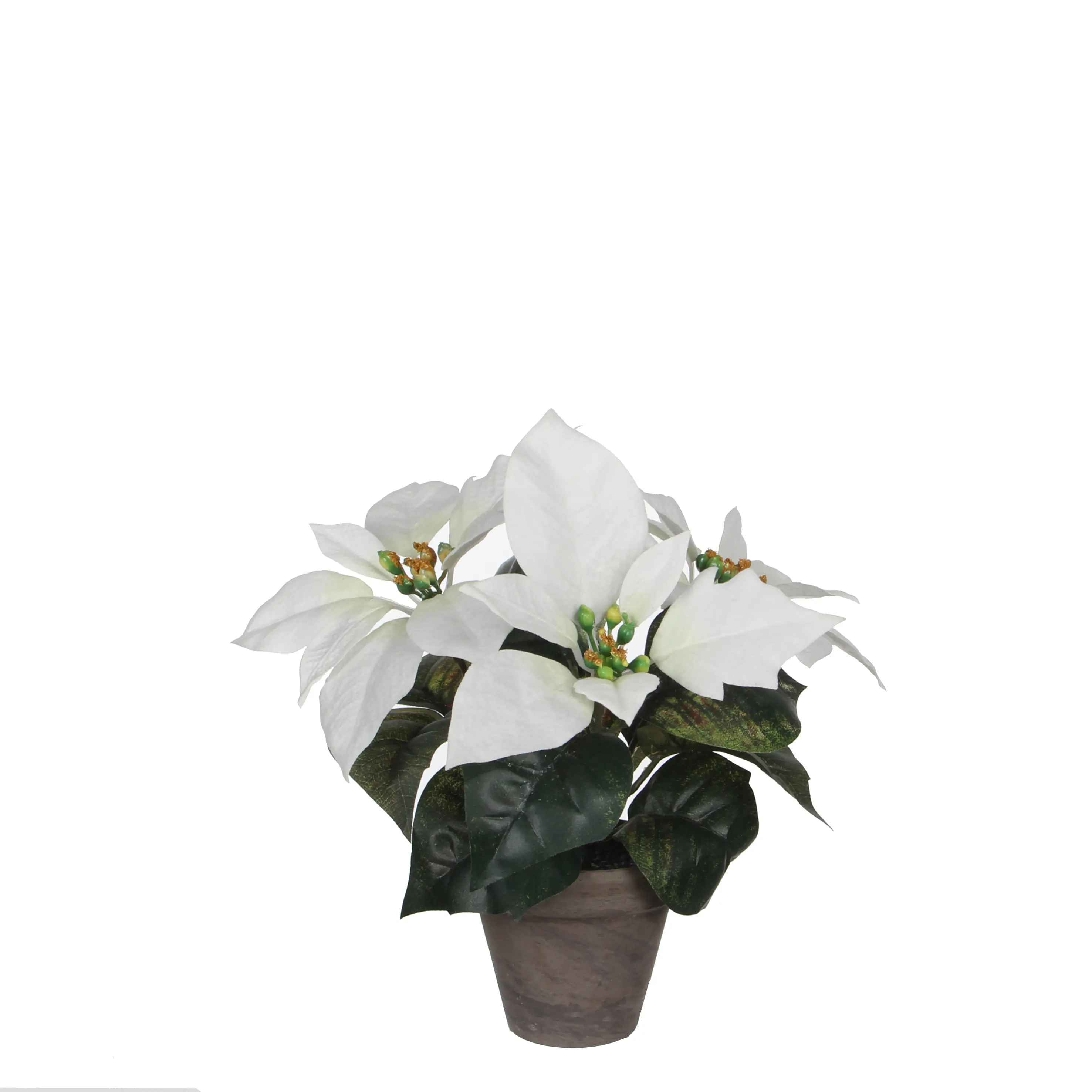 Mica Weihnachtsdeko Poinsettia weiß im Topf 25 x 9 cm grau