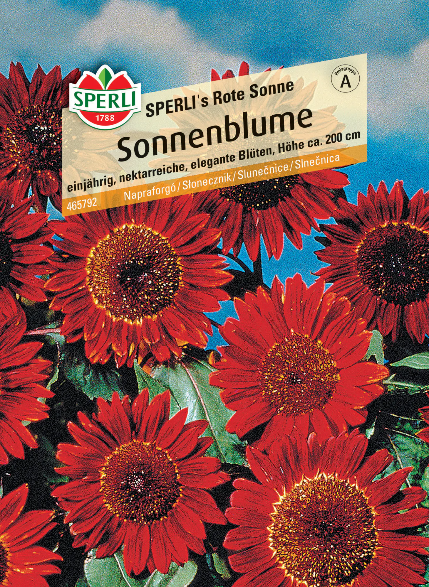 Sperli Sonnenblume SPERLI's Rote Sonne
