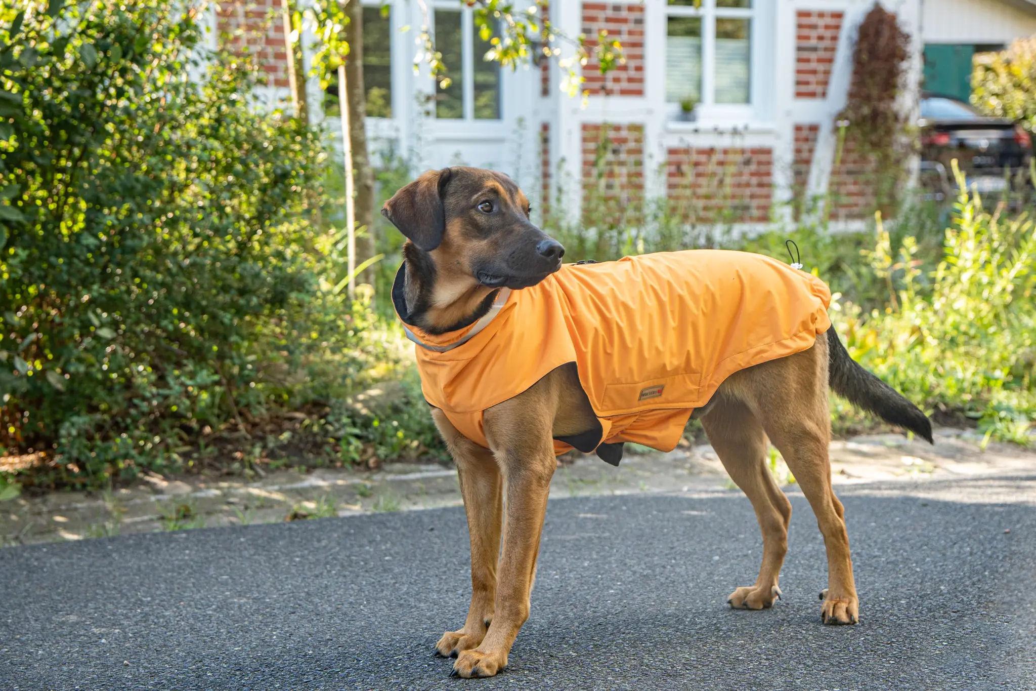 Wolters Hundebekleidung Outdoorjacke Modern Classic orange