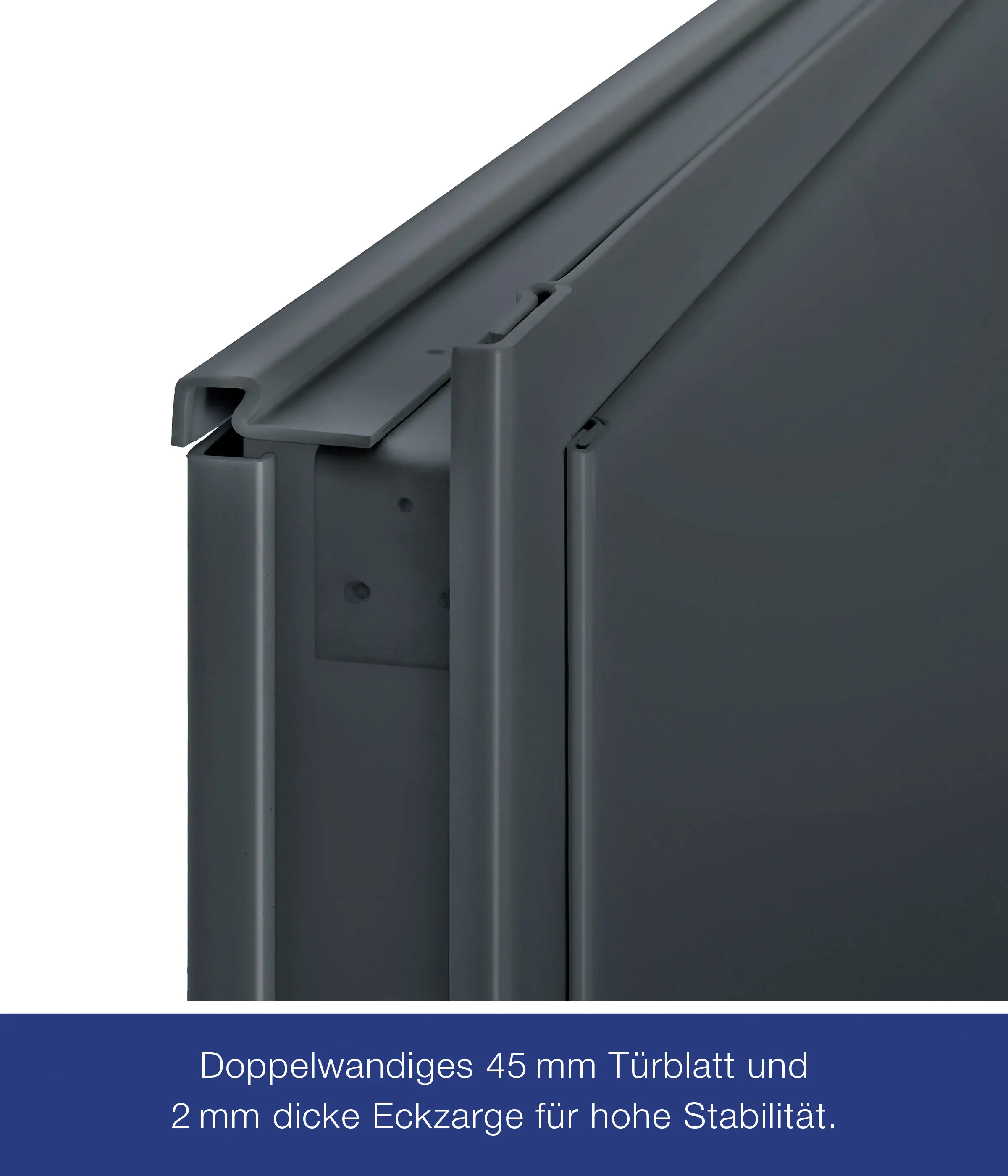 Hörmann Kellertür anthrazitgrau 100 x 200 cm Links/Rechts