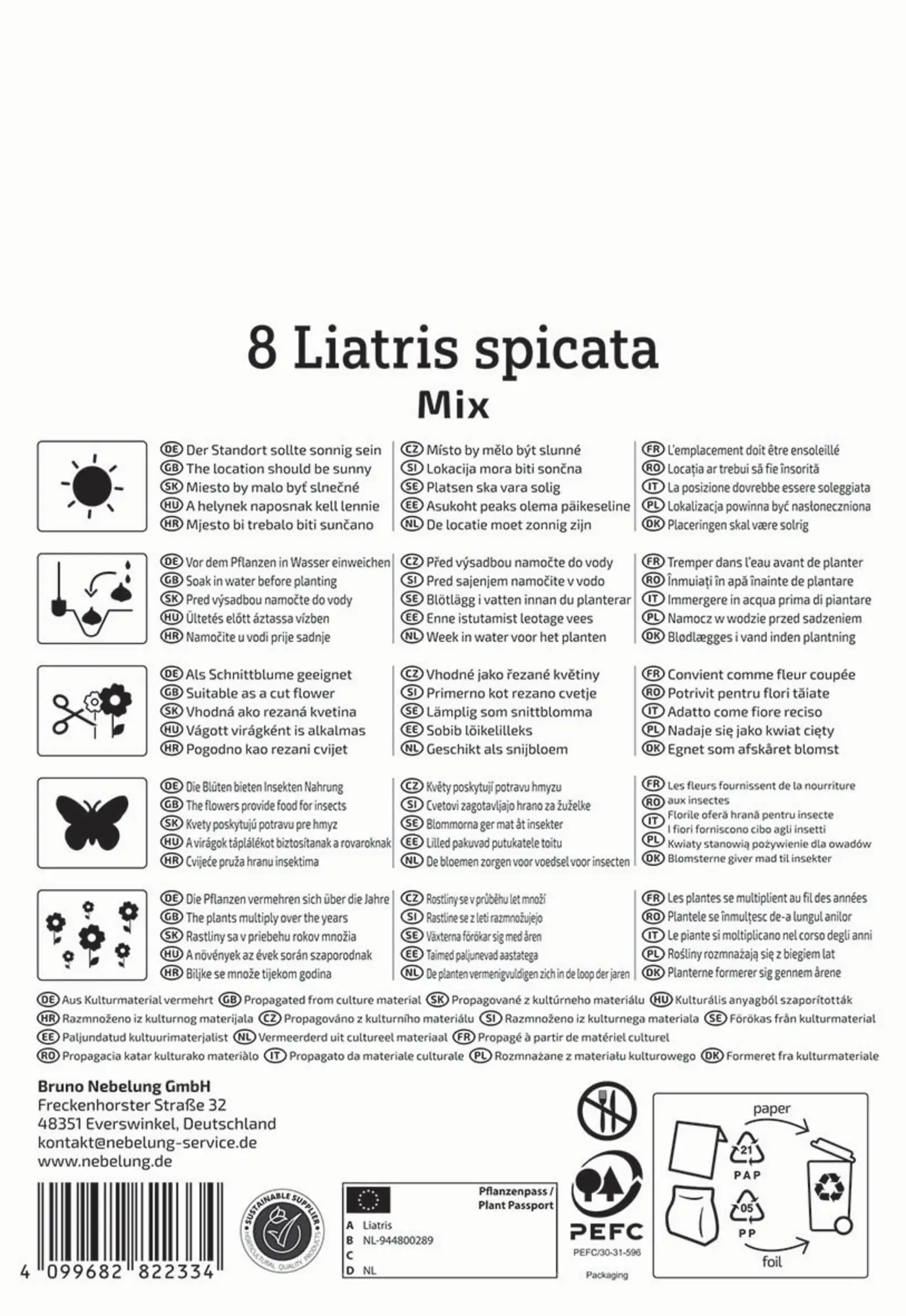 Kiepenkerl Frühjahrsblumenzwiebel Prachtscharte Liatris Blau und Weiß 8 Stück