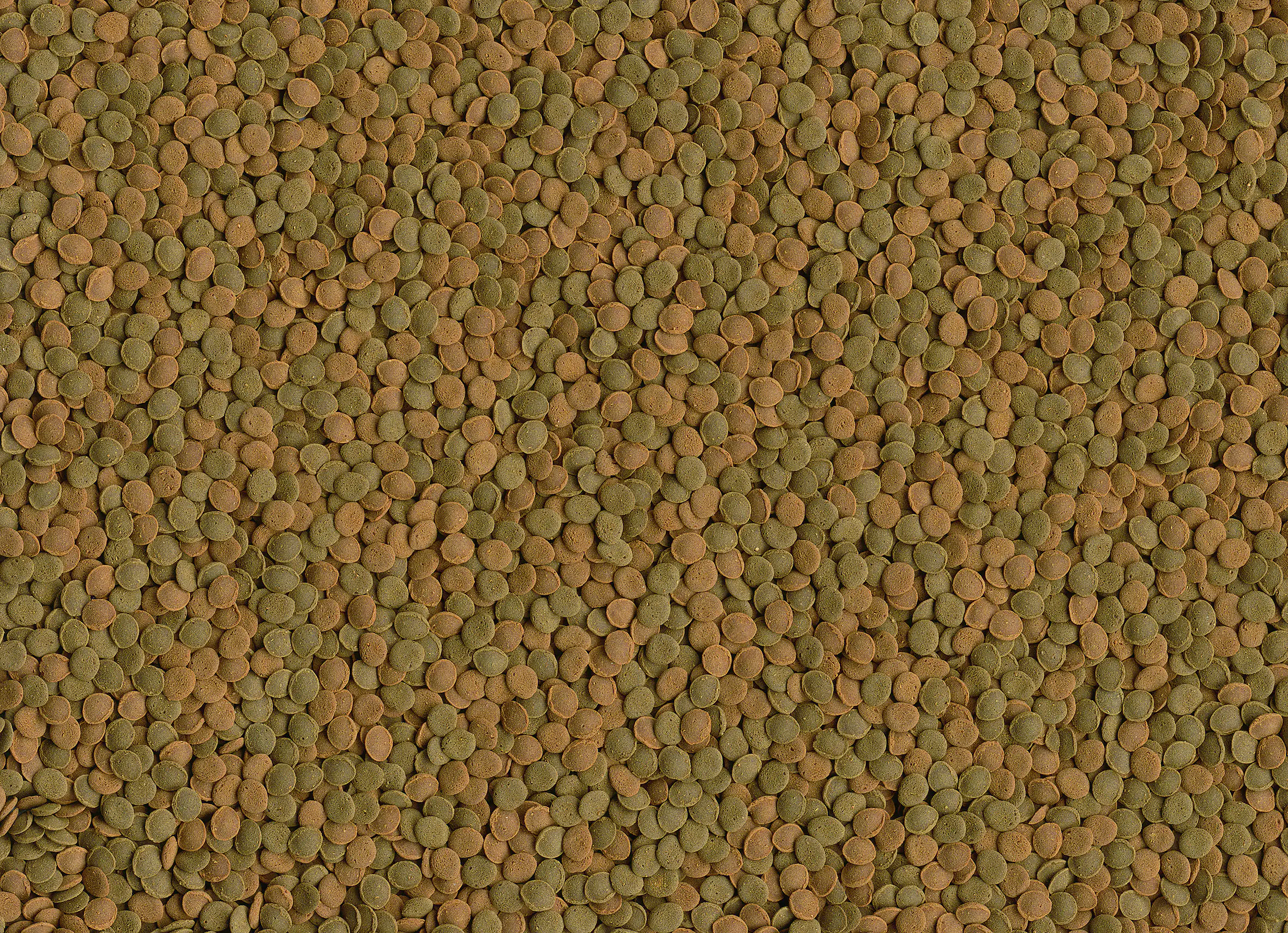 Tetra Wafer Mini Mix 100 ml