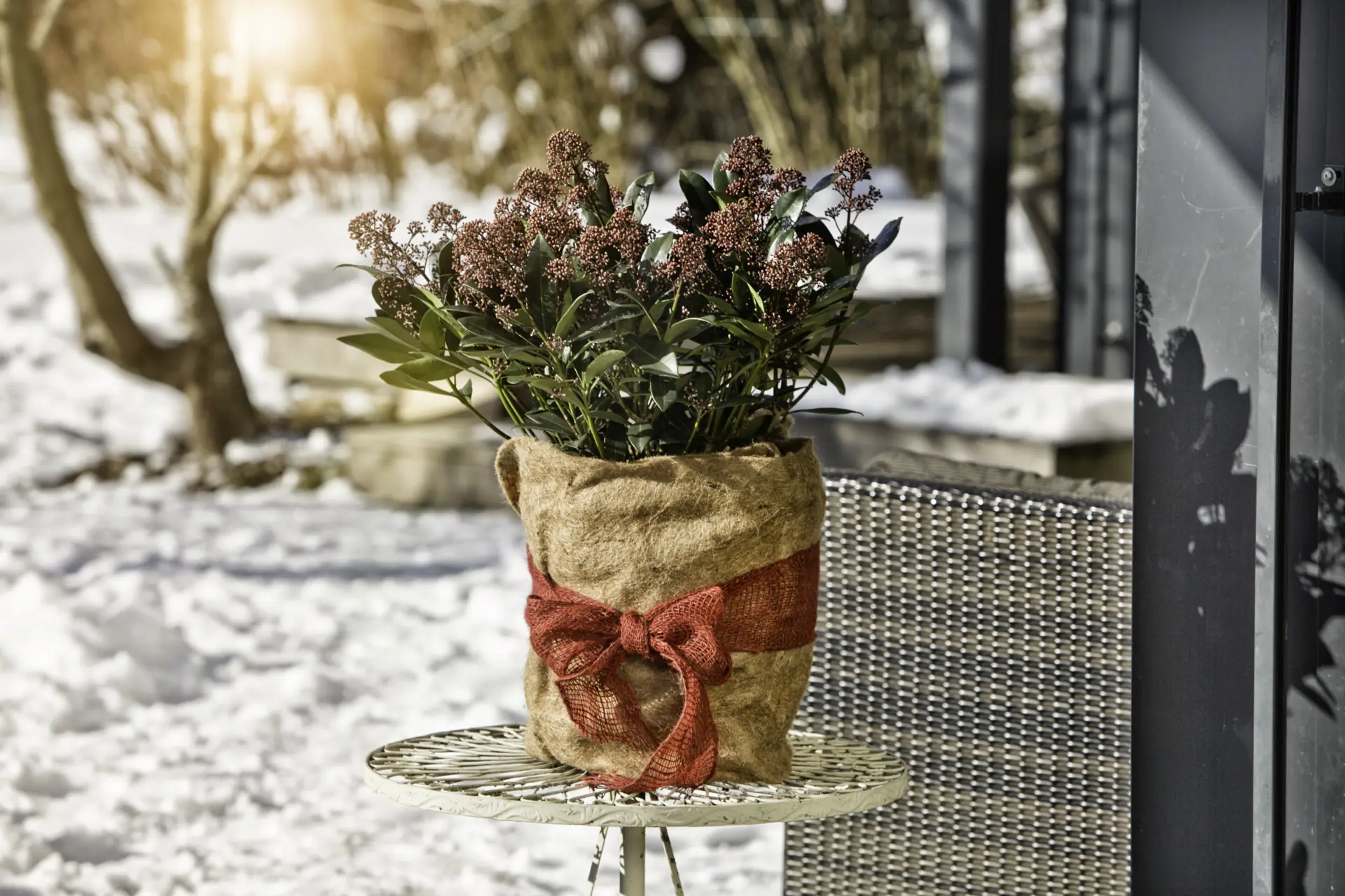 Windhager Winterschutz Vliesmatte Jute 0,5 x 4 m natur