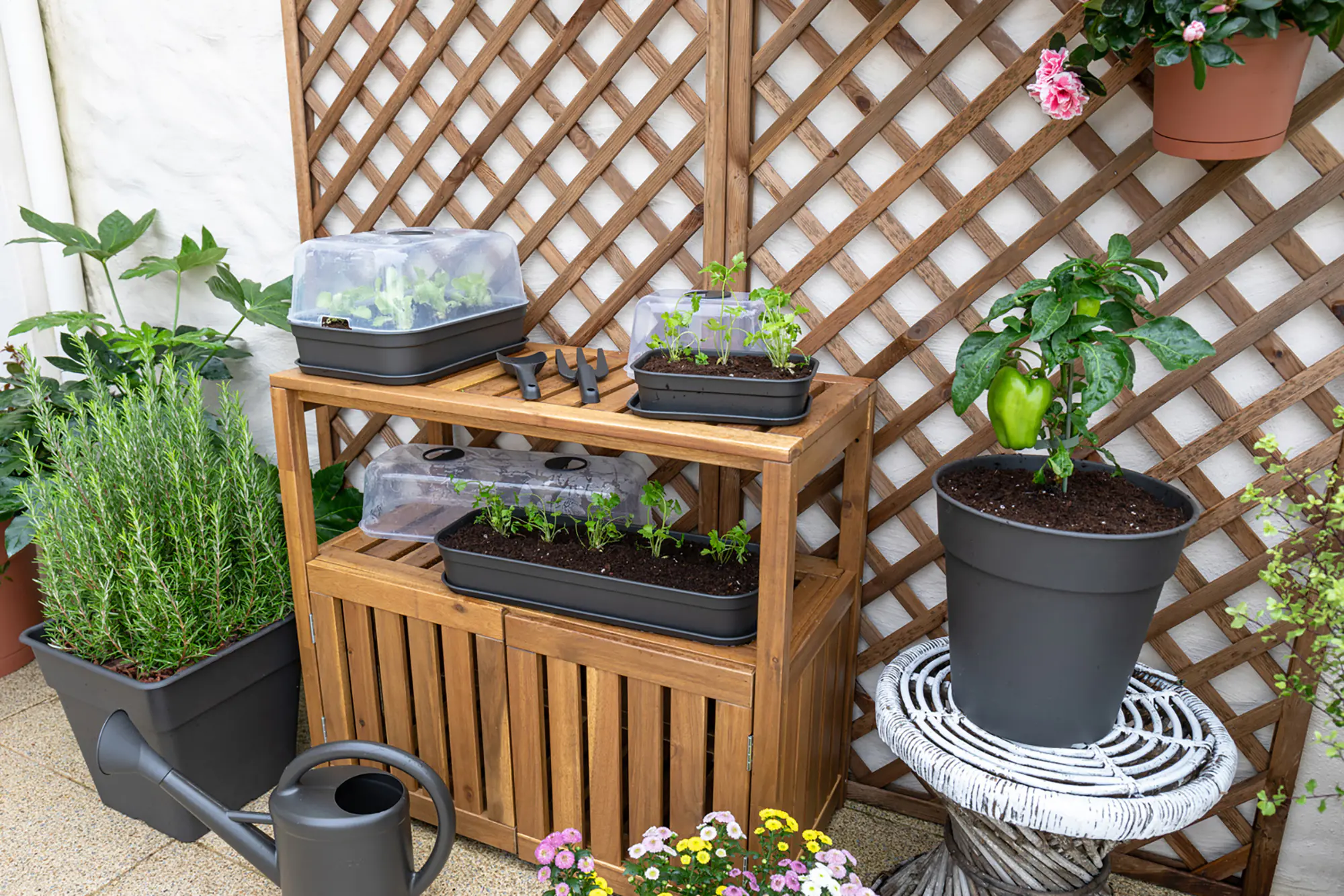 Artevasi Anzuchttopf Madagascar Kunststoff anthrazit Ø 40 x 39 cm 