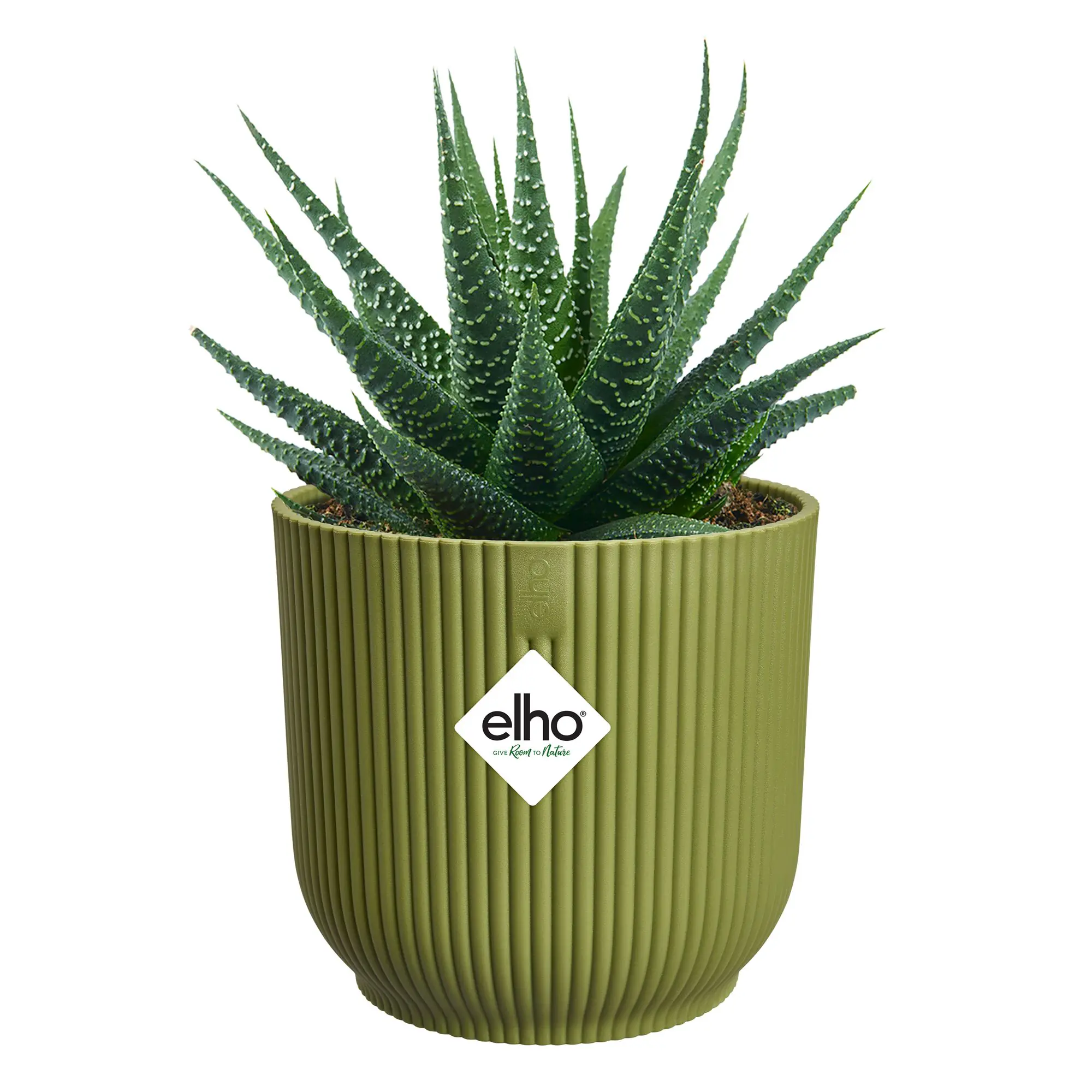 Elho Blumentopf Vibes Fold Kunststoff thymiangrün Ø 11 x 11 cm