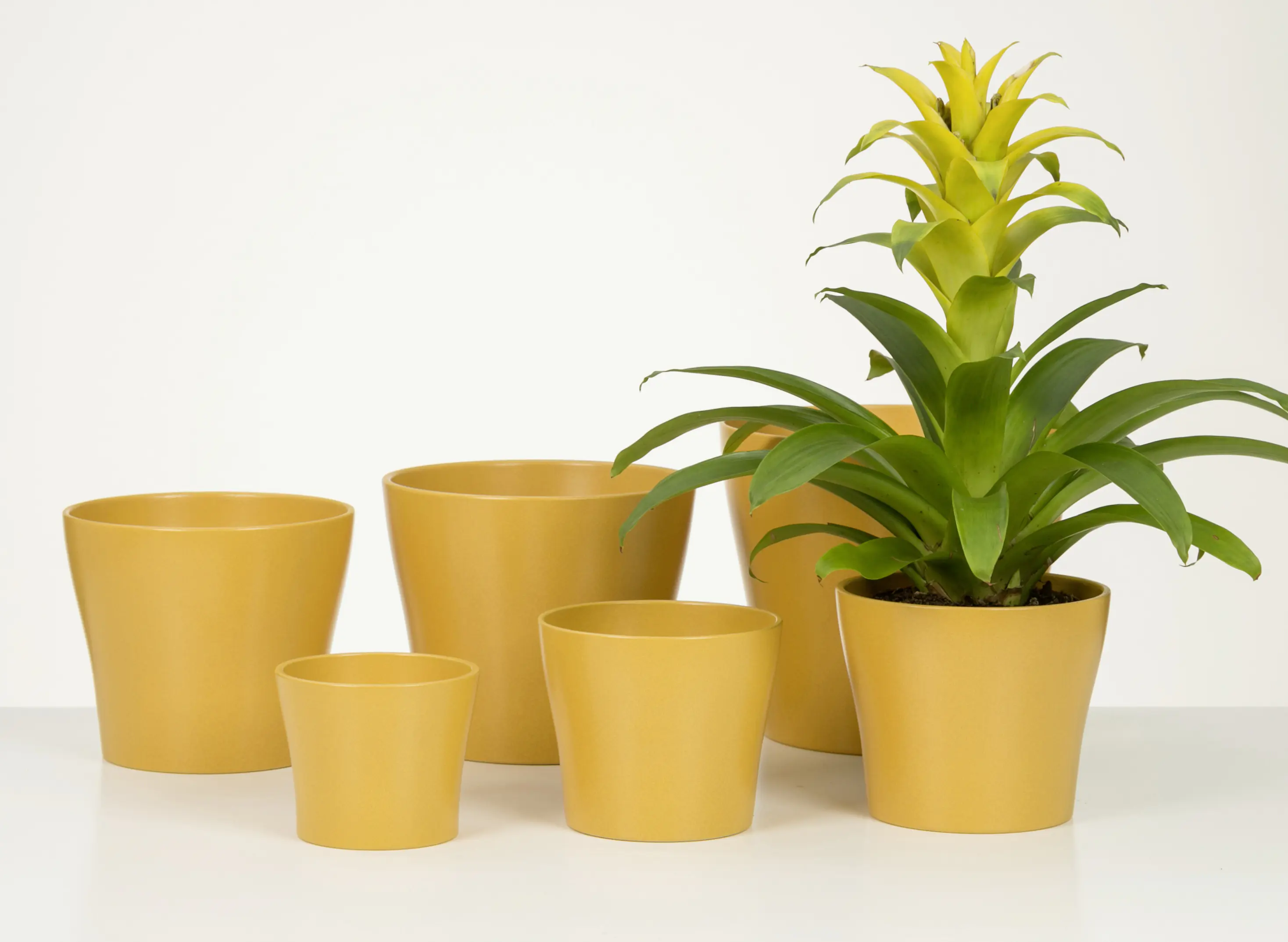 Scheurich Übertopf Serie 808 Ø 21 x 19 cm curcuma