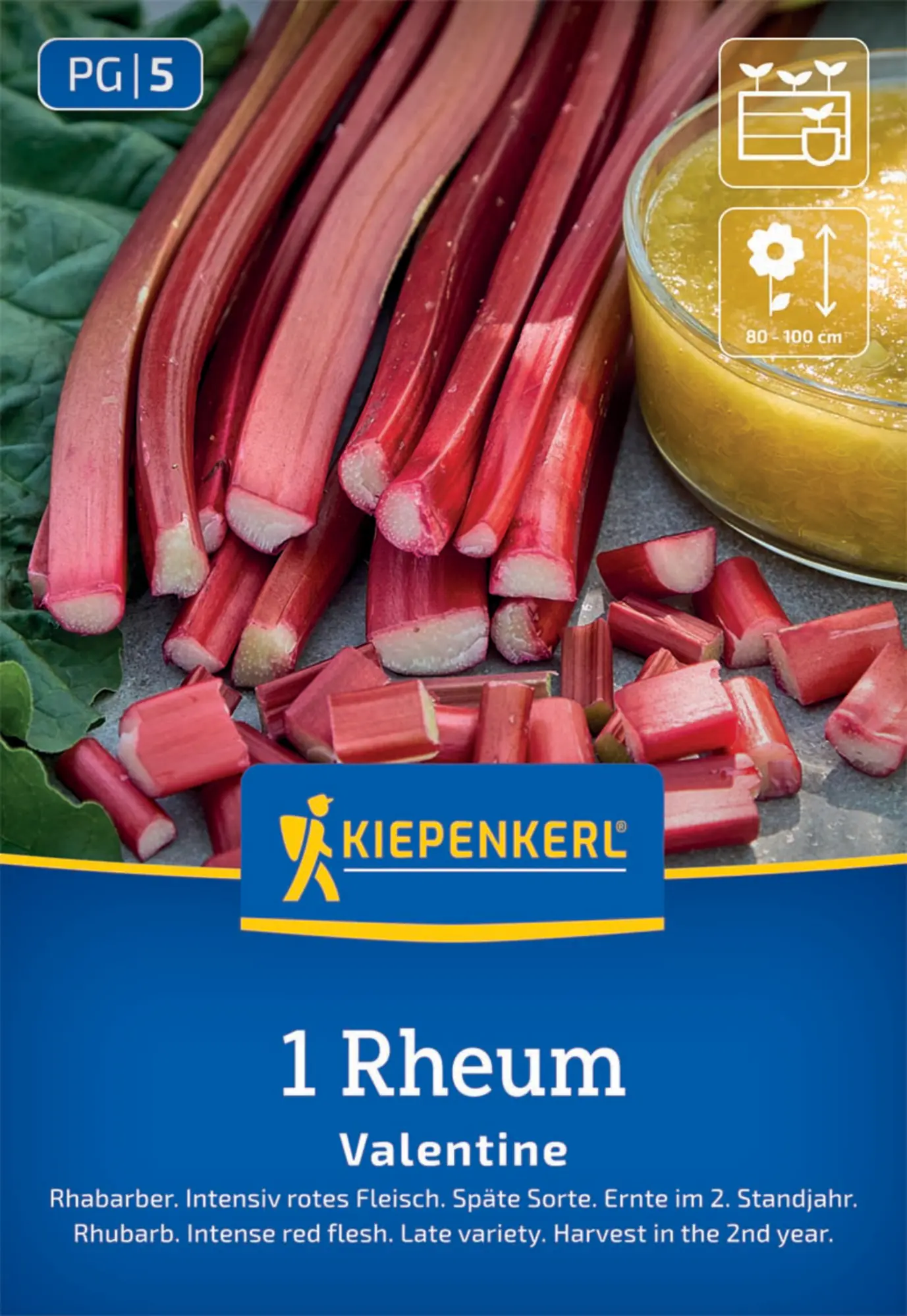 Kiepenkerl Pflanzgut Rhabarber Valentine Rheum rhabarbarum 1 Stück