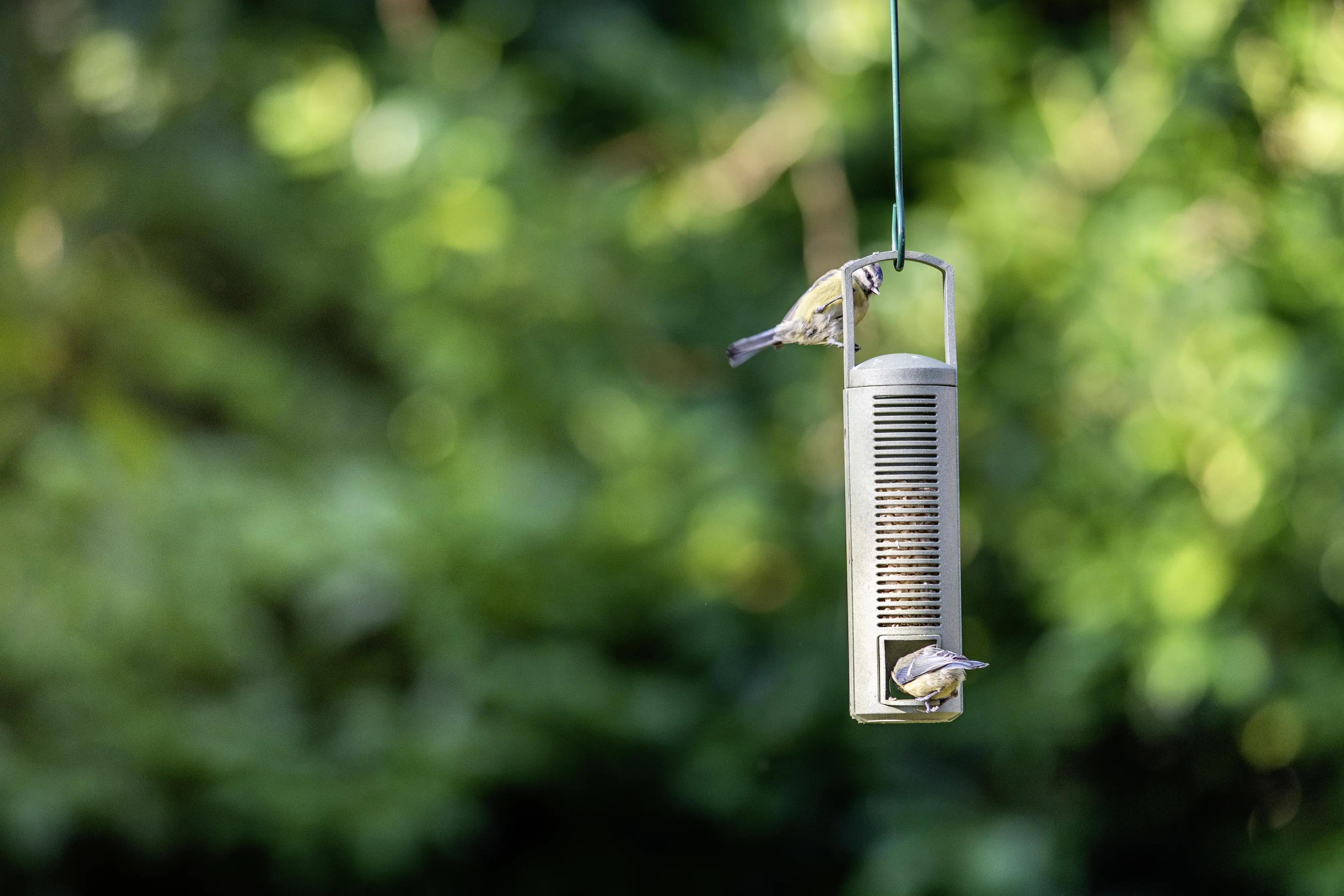 CJ Wildbird Futtersäule für Wildvögel CJ Wildbird Futtersäule für Wildvögel