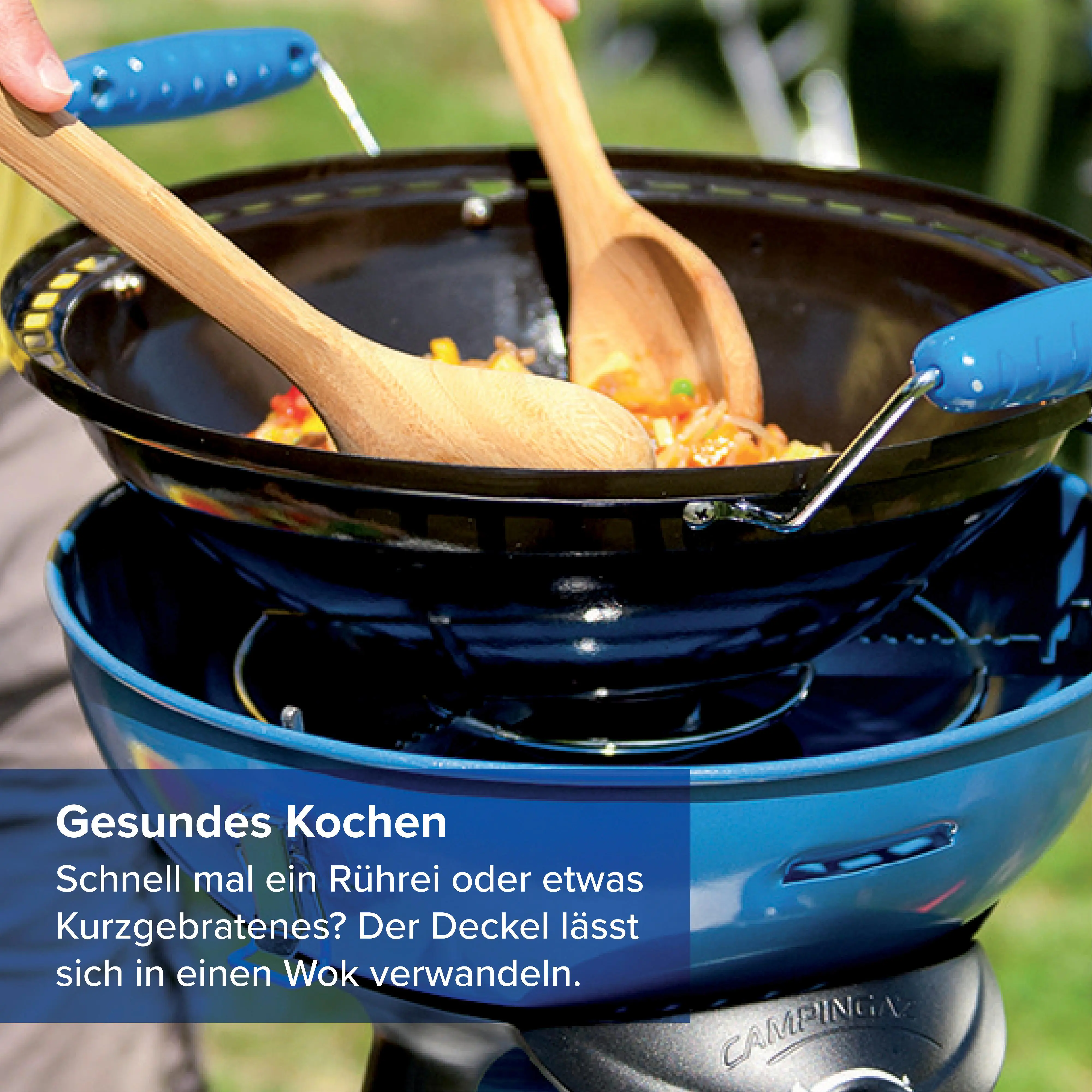 Campingaz Party Gasgrill 400 CV Campingaz Party Gasgrill 400 CV