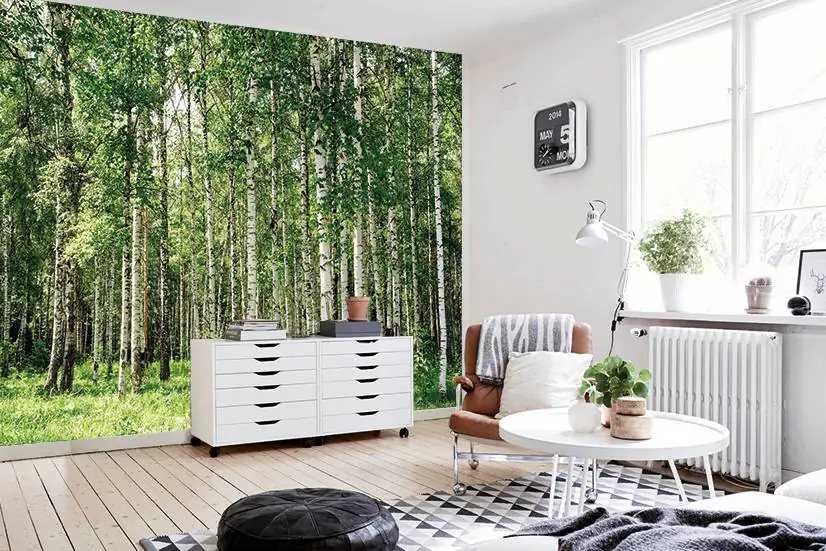 papermoon Vlies- Fototapete Digitaldruck 350 x 260 cm Birch Forest