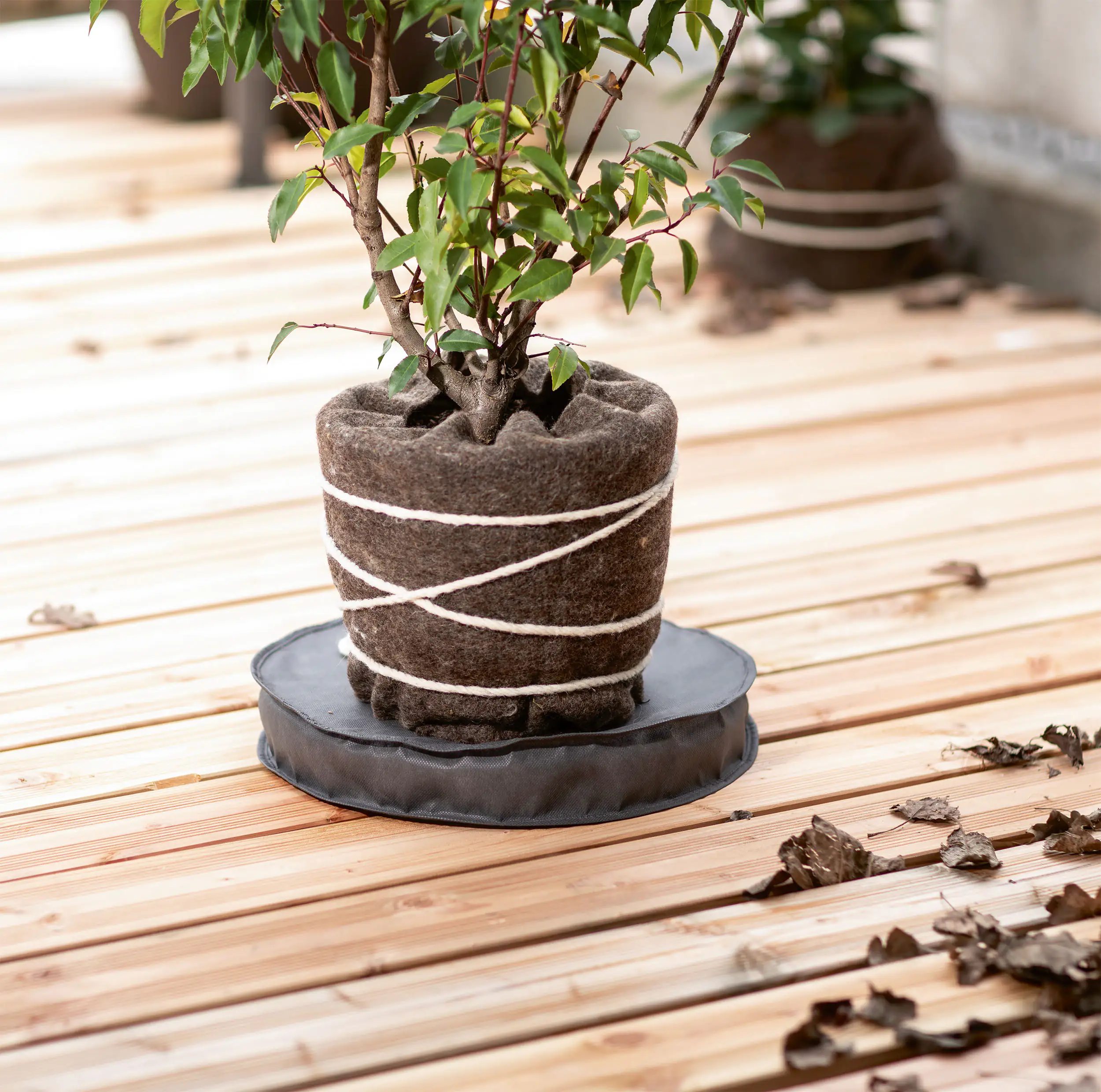 Windhager Kälteschutz Topfuntersetzer Ø 55 cm