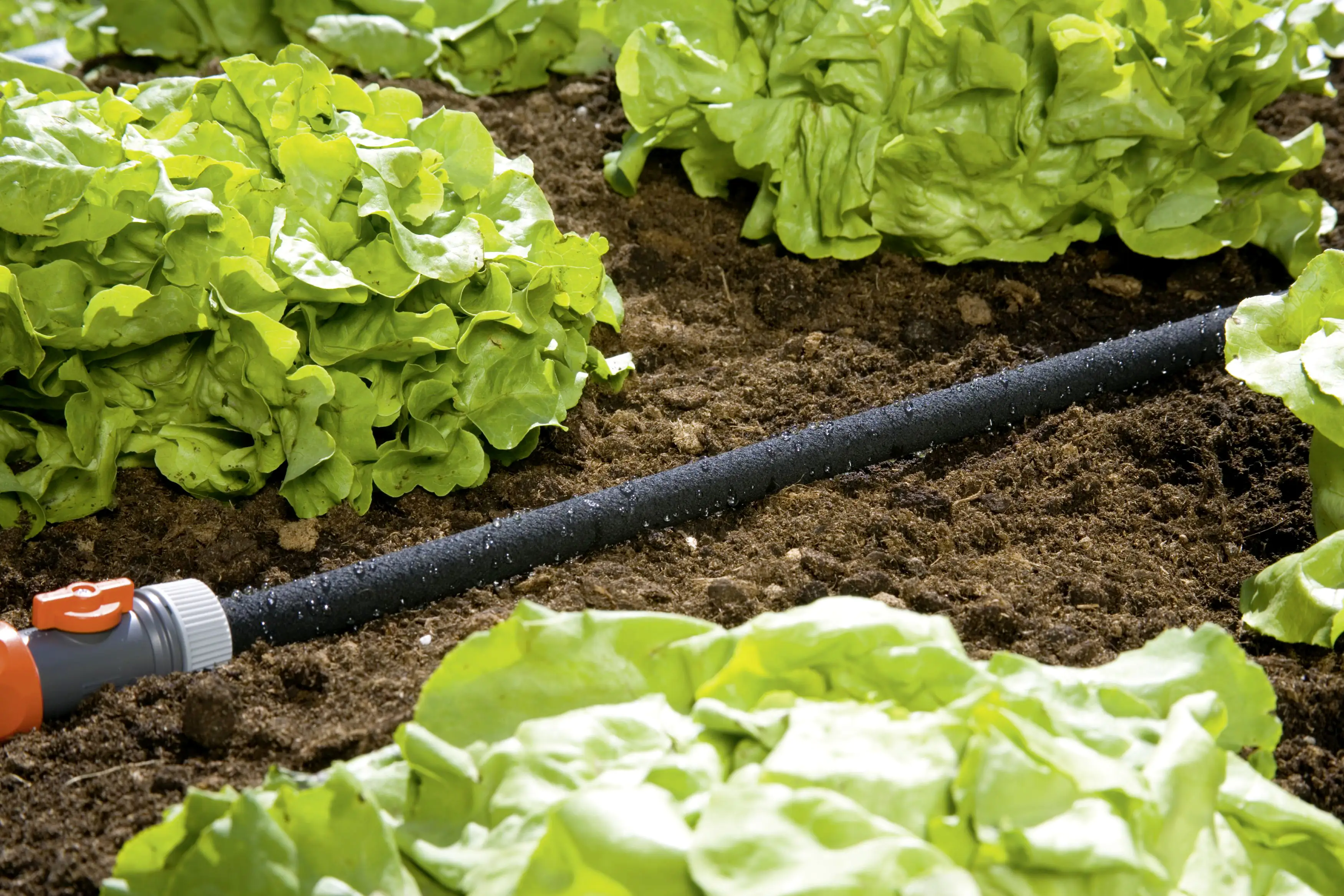 4078500196901_1088071 Gardena Perl-Regner 15 m