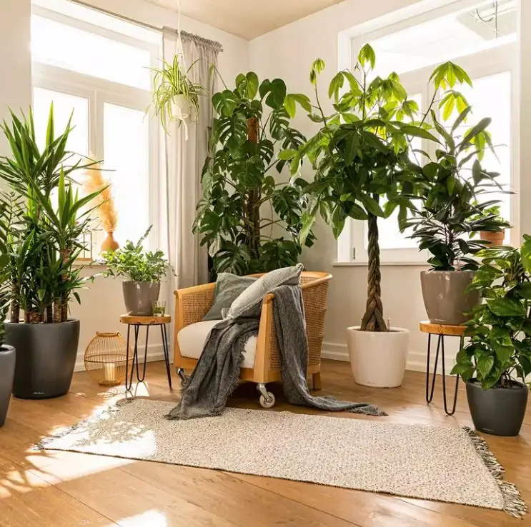 Lechuza Pflanzgefäß Classico Premium 43 weiß hochglanz