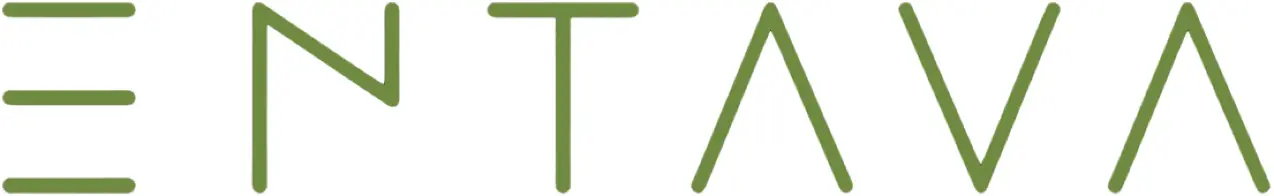 Entava