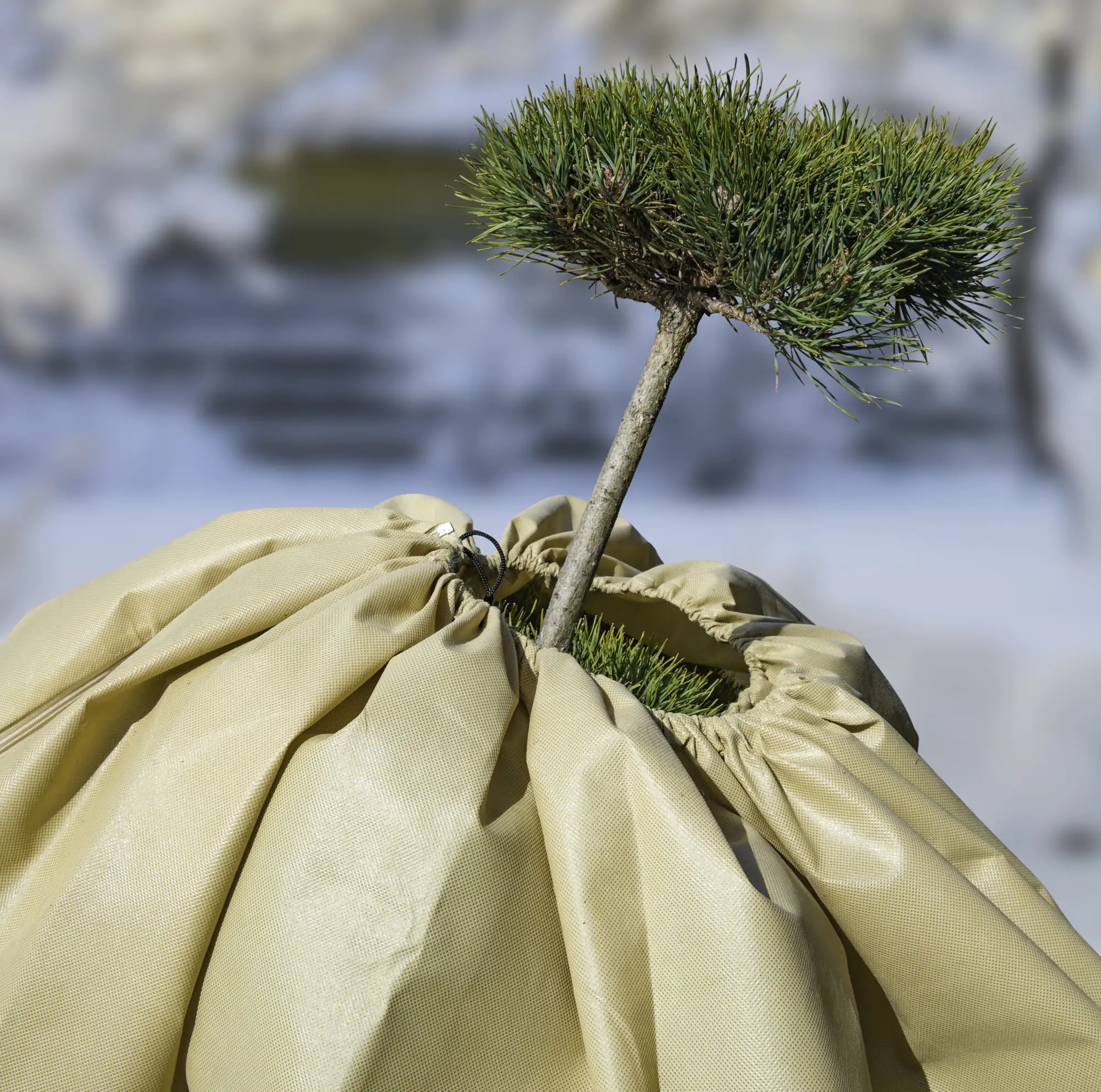 9003117074187_3 Windhager Vliesmantel Super-Protect XL 1,9 x 2,4 m, beige