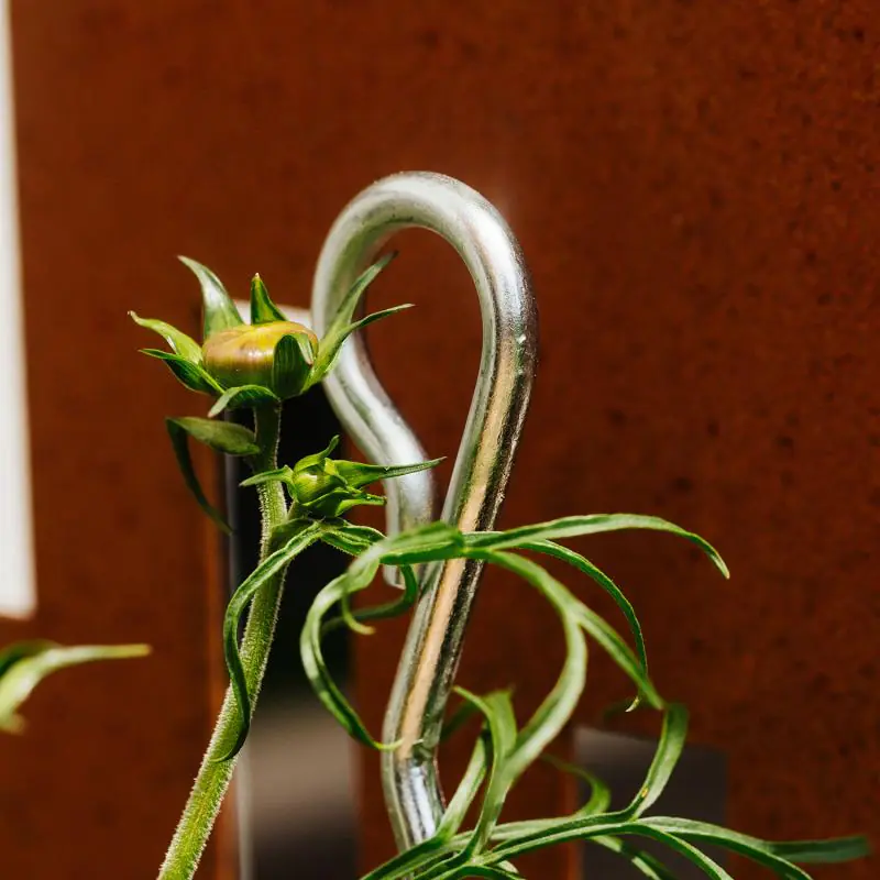 Bellissa Pflanzenstütze Mainau 150