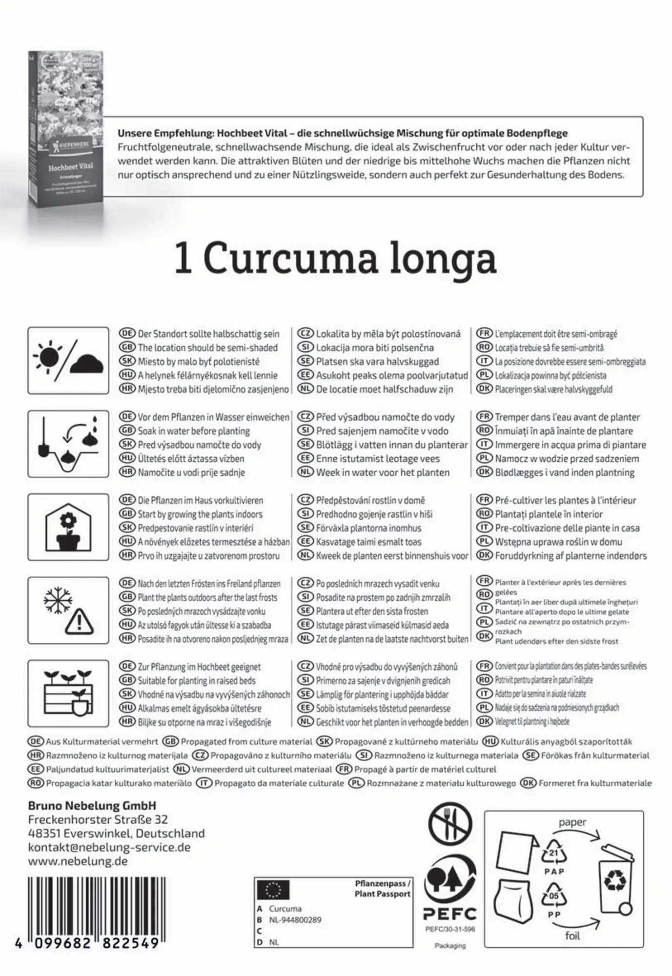 Kiepenkerl Pflanzgut Kurkuma Curcuma longa 1 Stück