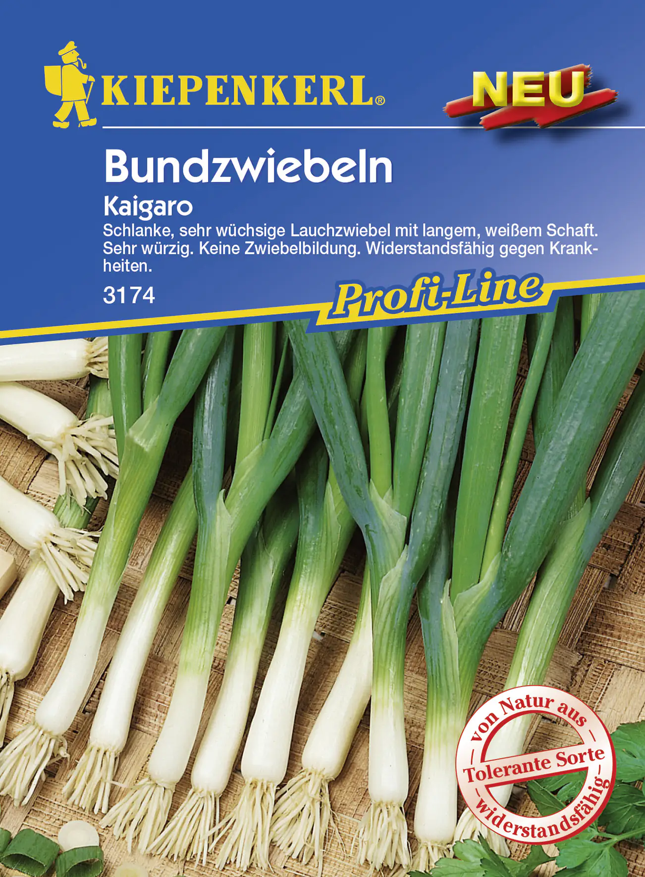 Kiepenkerl Lauchzwiebel Kaigaro Valerianella locusta, Inhalt: ca. 5 lfd. Meter