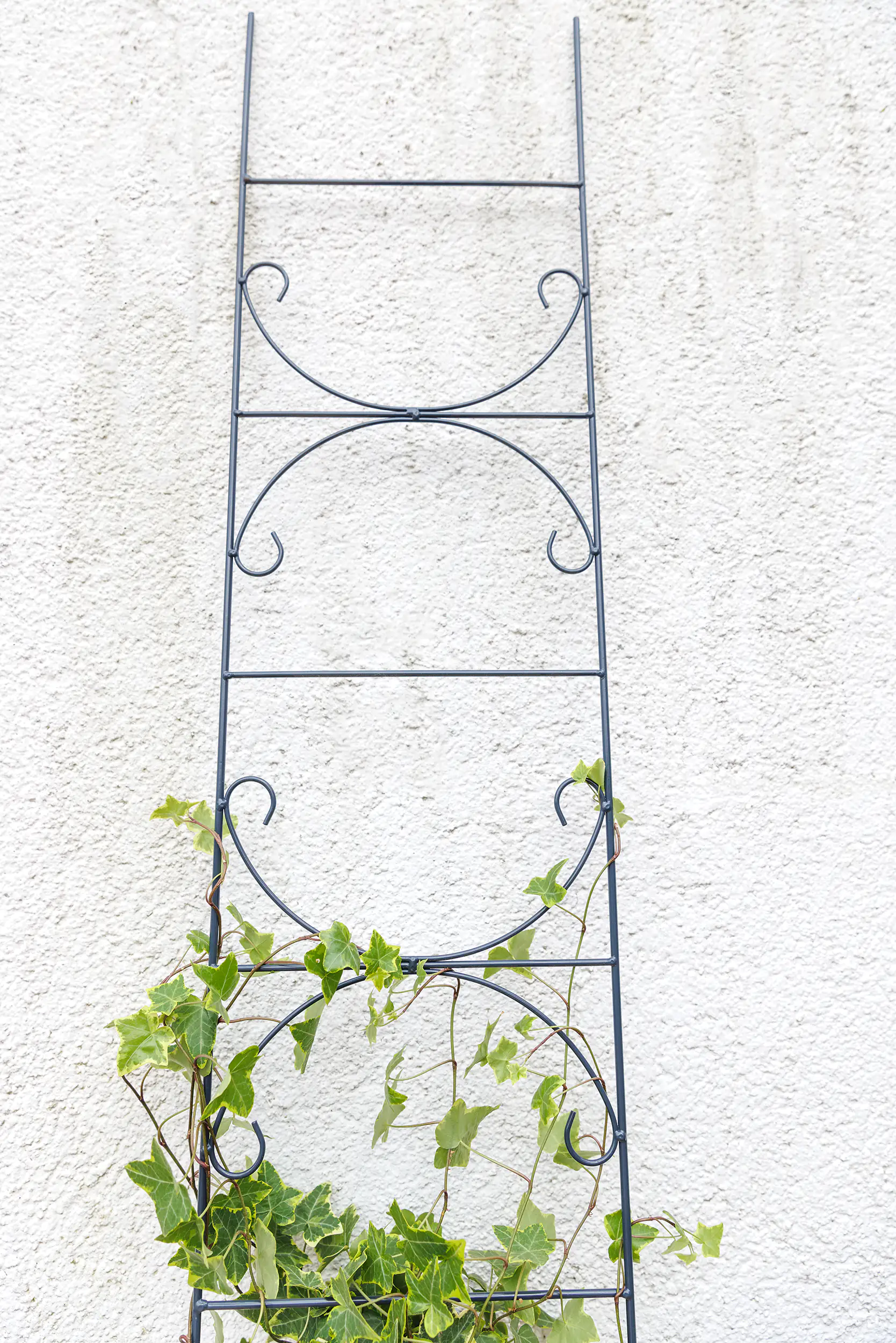 TrendLine Spalier Metall 150 cm dunkelgrau