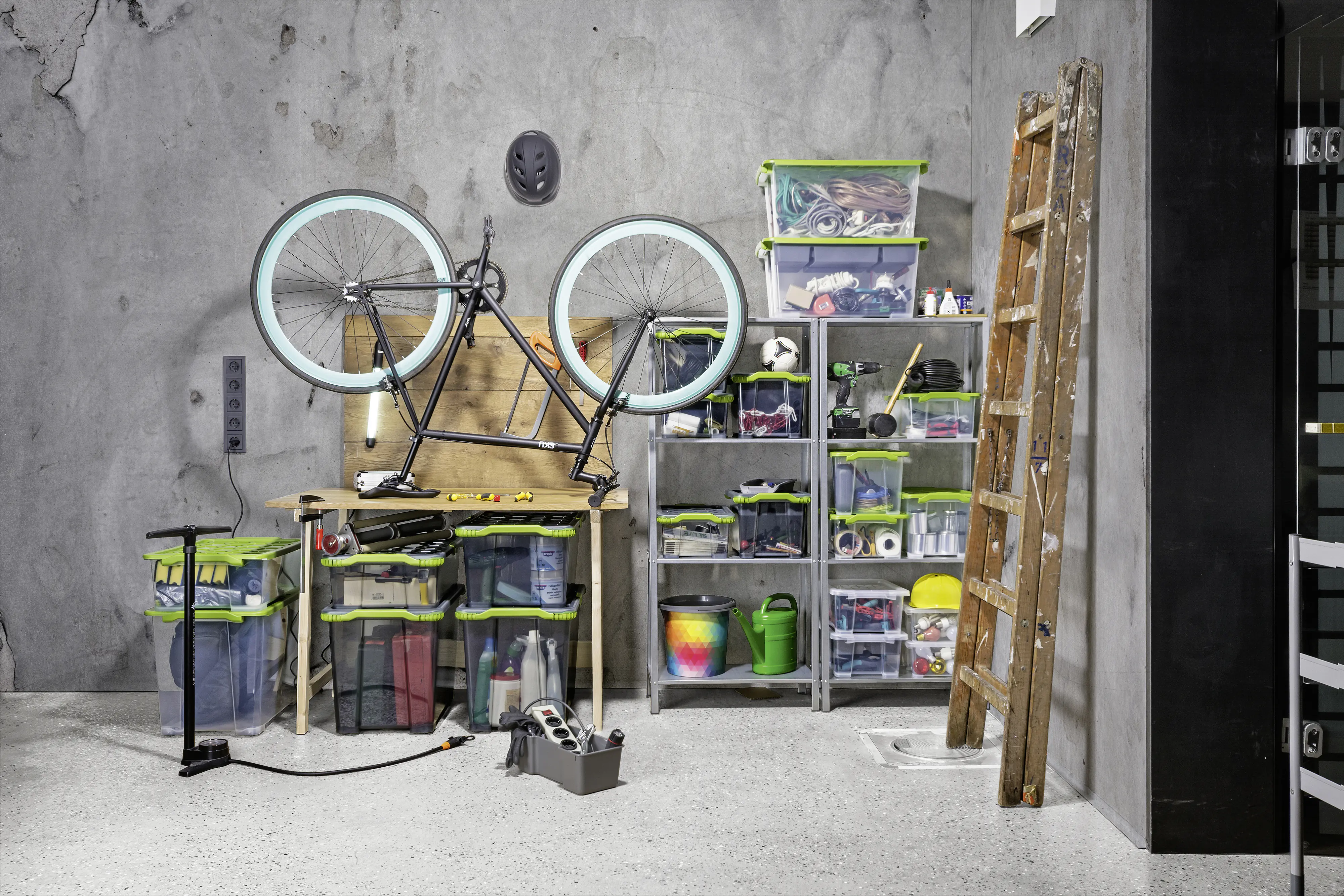 Rotho Aufbewahrungsbox EVO Easy 4 L transparent 27 x 17,2 x 12,8 cm