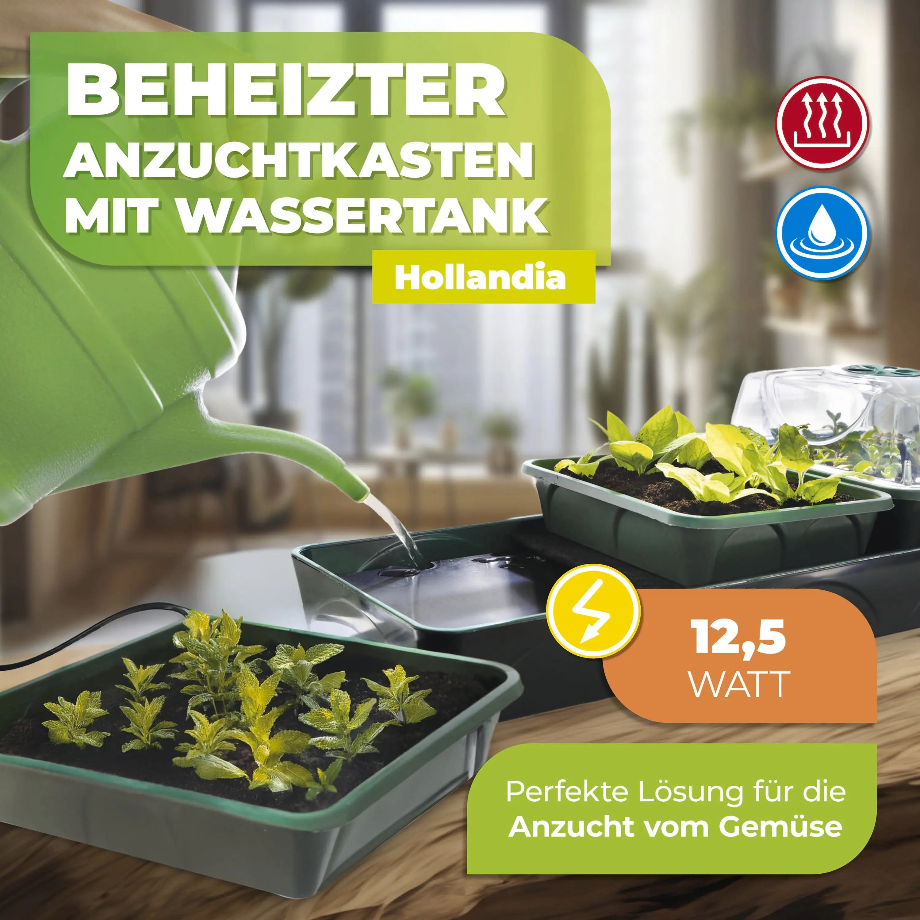 BioGreen Anzuchtstation Hollandia grün/schwarz 54 x 21 cm mit 3 Klimakammern beheizbar