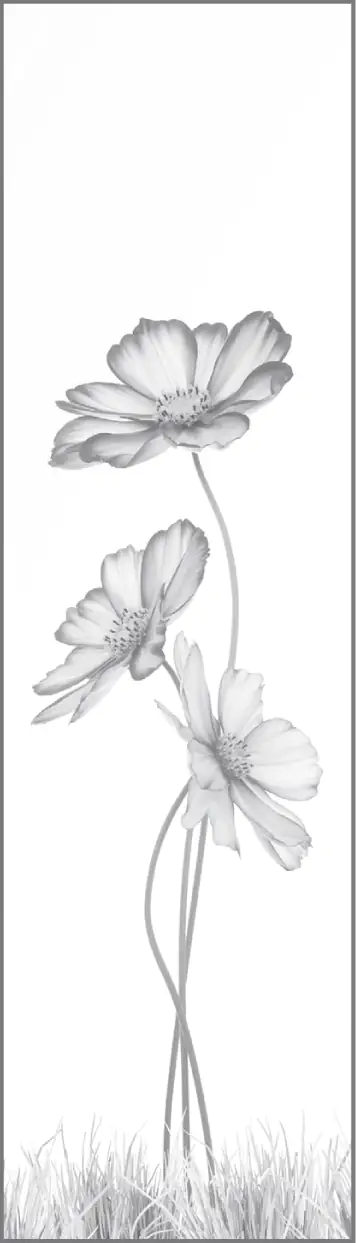 Ambiente Glaszaun Dekor 93 51,5 x 180 cm gehärtetes 8 mm Glas