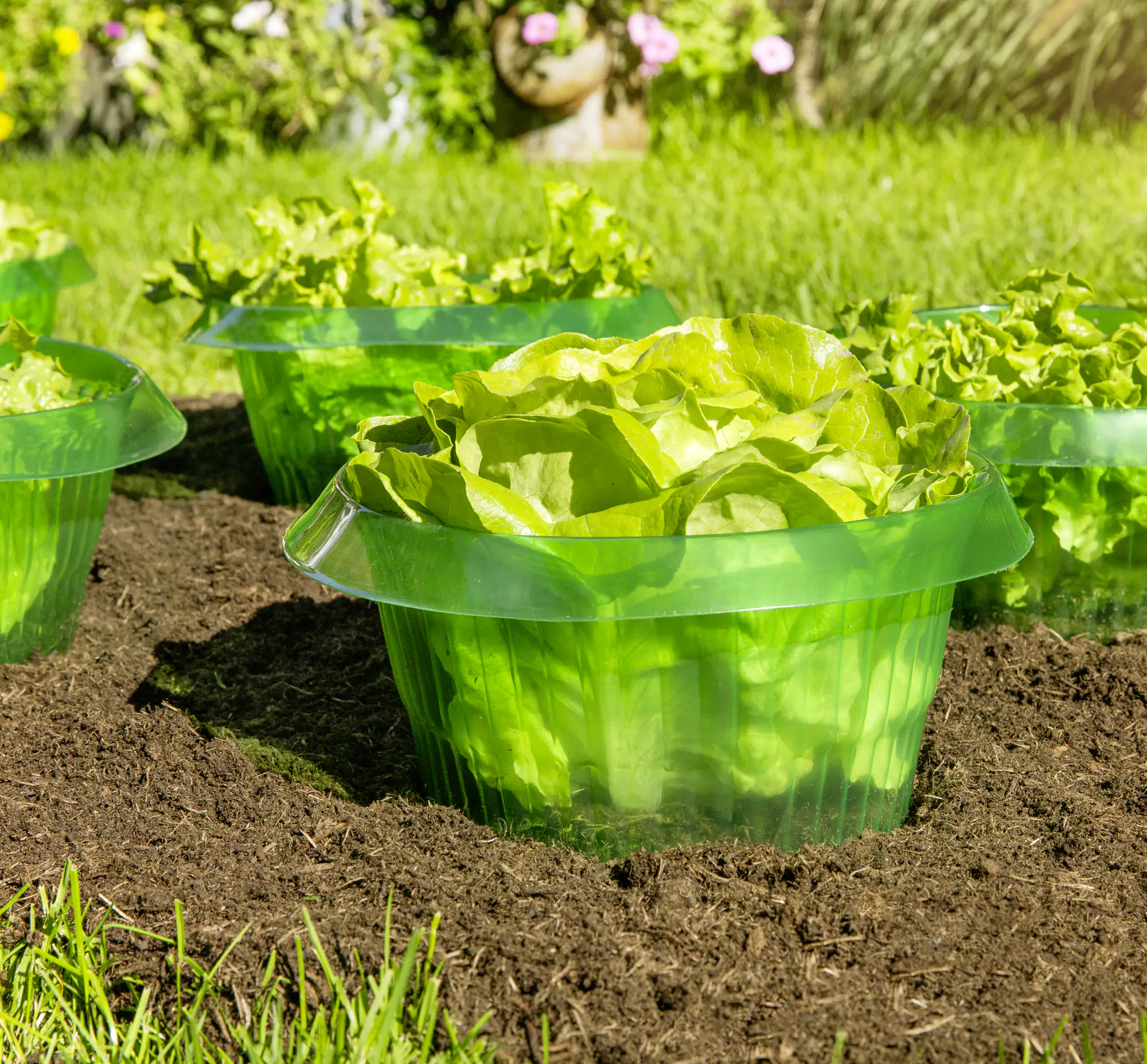 9003117024359 Windhager Schnecken-Schutzring 6 Stück