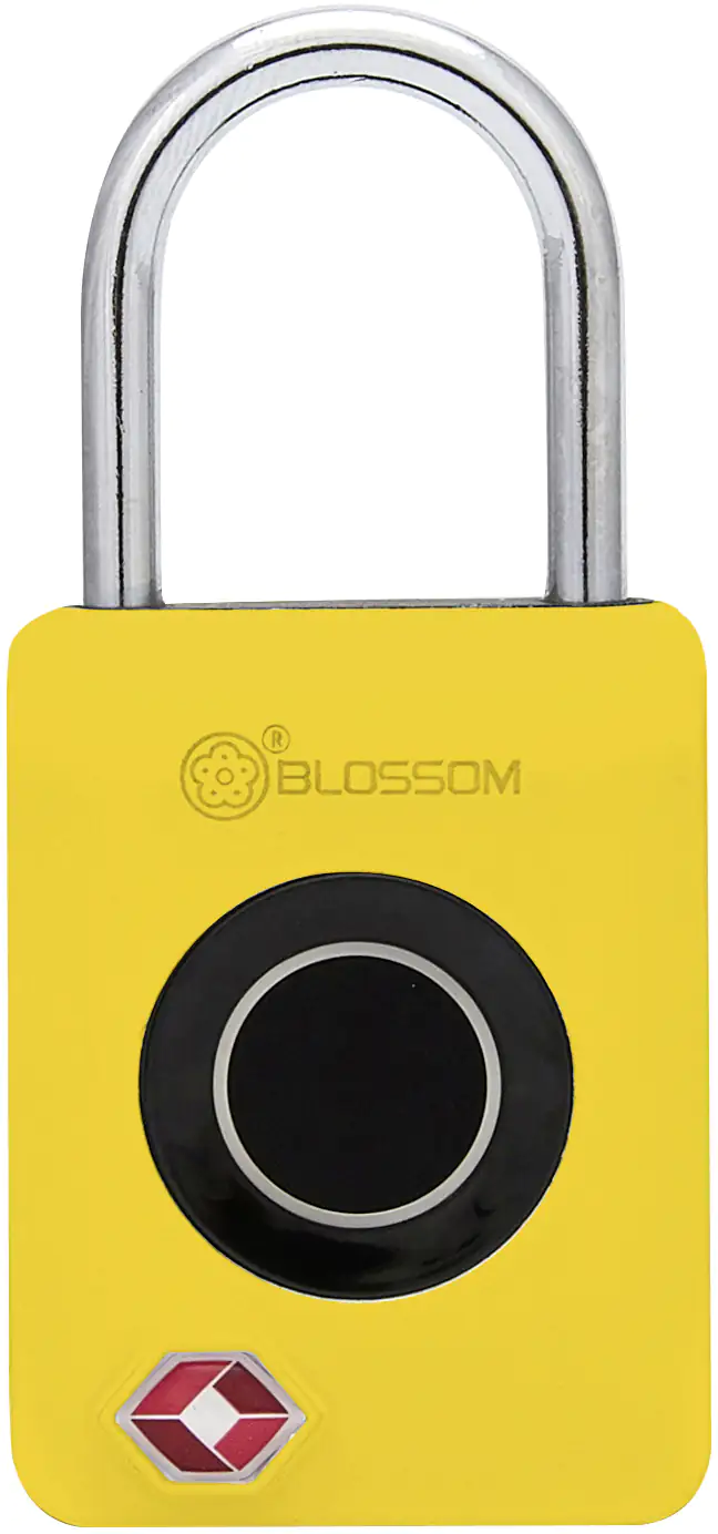 Südmetall Vorhängeschloss mit Fingerabdruck-Scan 30 x 18 mm