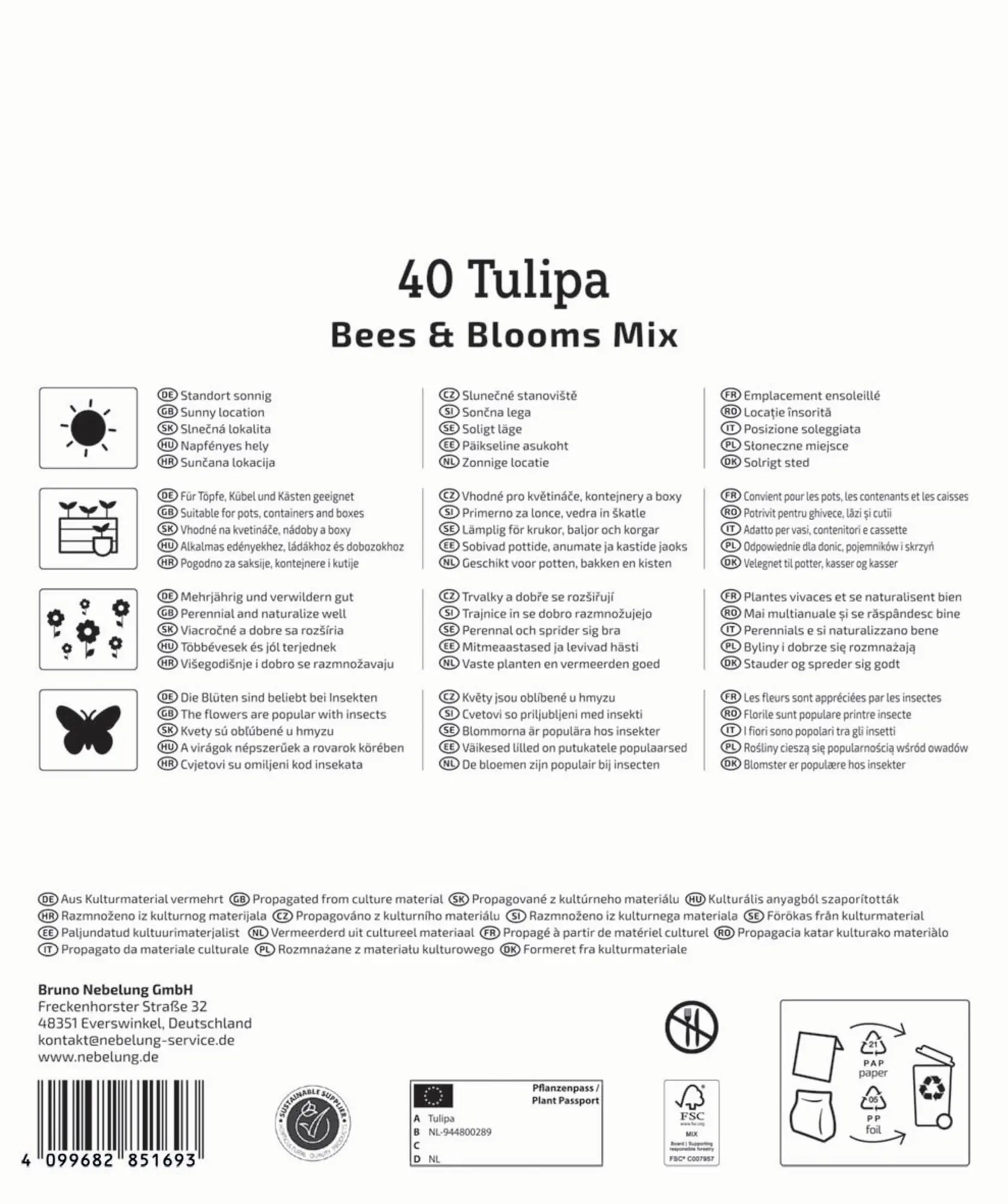 Kiepenkerl Herbstblumenzwiebelmischung Mega-Pack Bees & Blooms 40 Stück