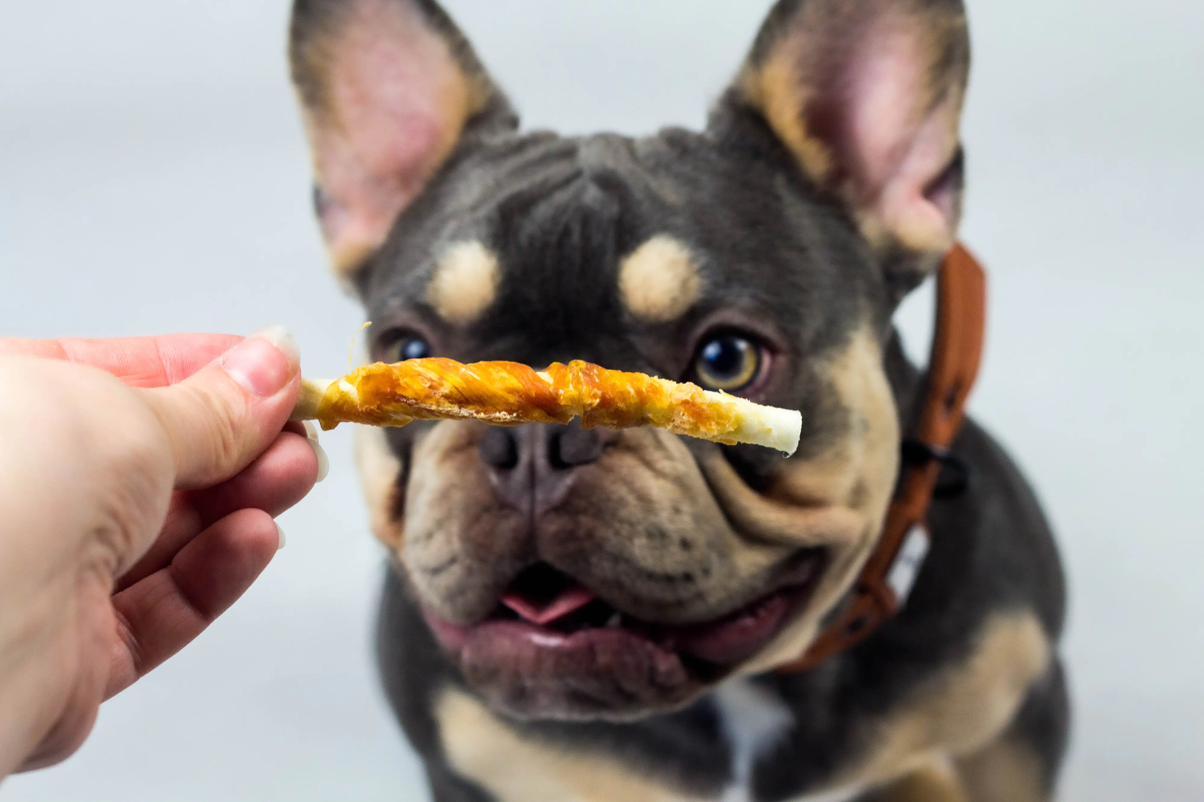 Nobby StarSnack Barbecue Wrapped Chicken 375 g