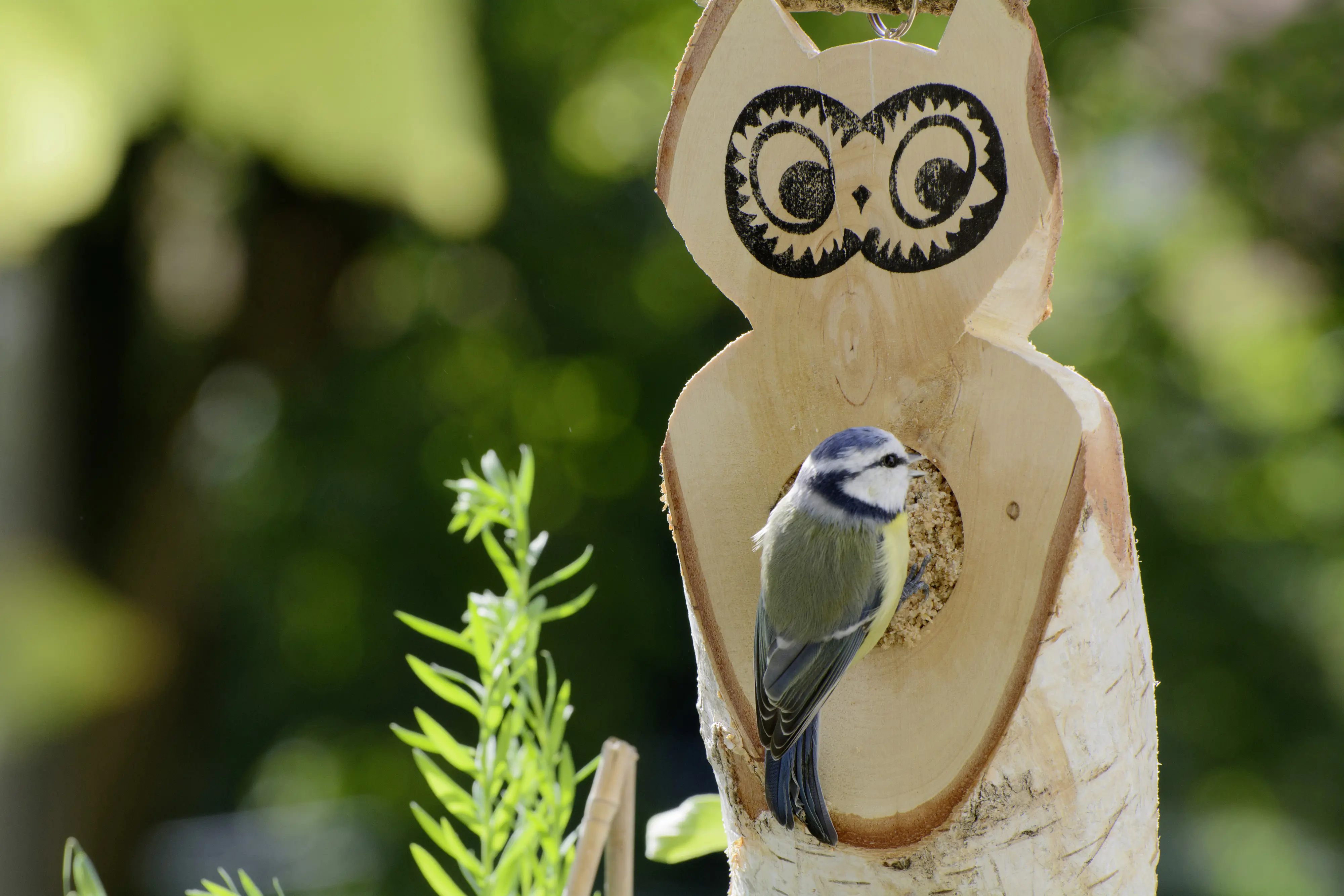 Dobar Vogel Futtereule 36 x 25 x 13 cm braun