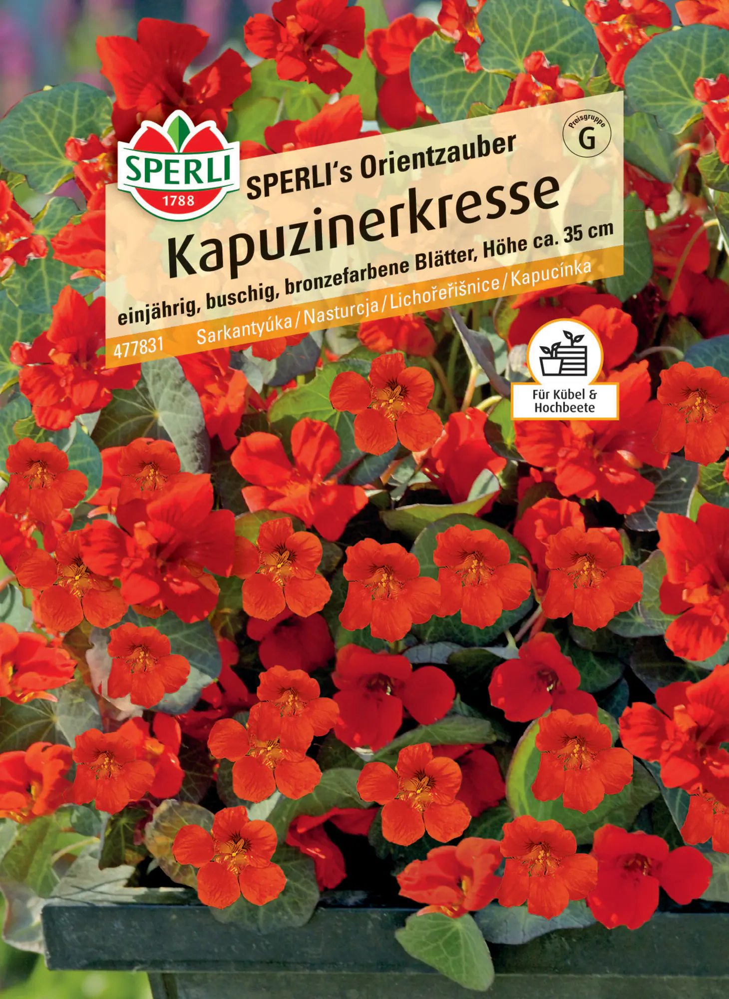 Sperli Kapuzinerkresse SPERLI's Orientzauber