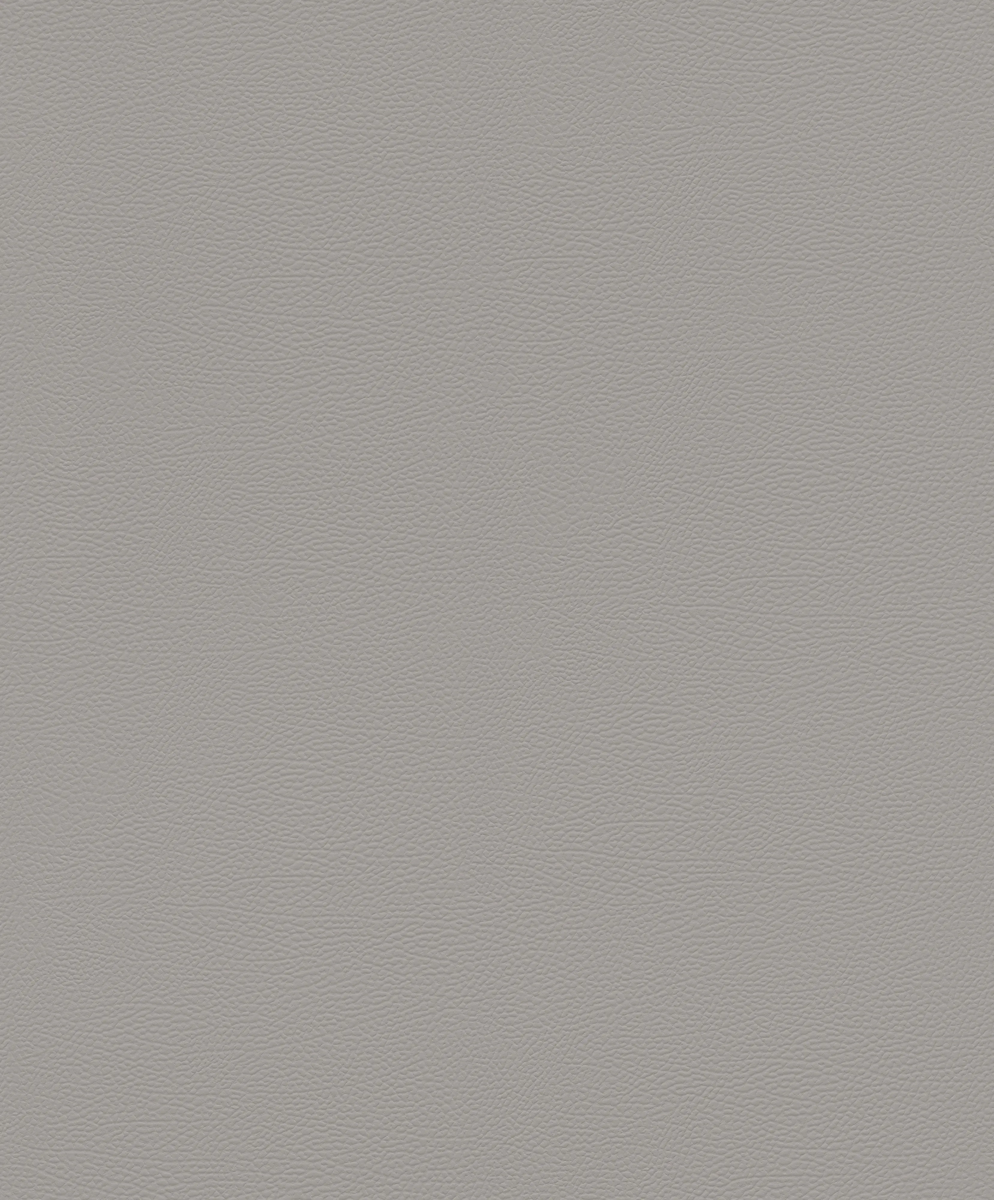 Rasch Vliestapete 752649 Grau-Hellgrau Uni 10,05 m x 0,53 m