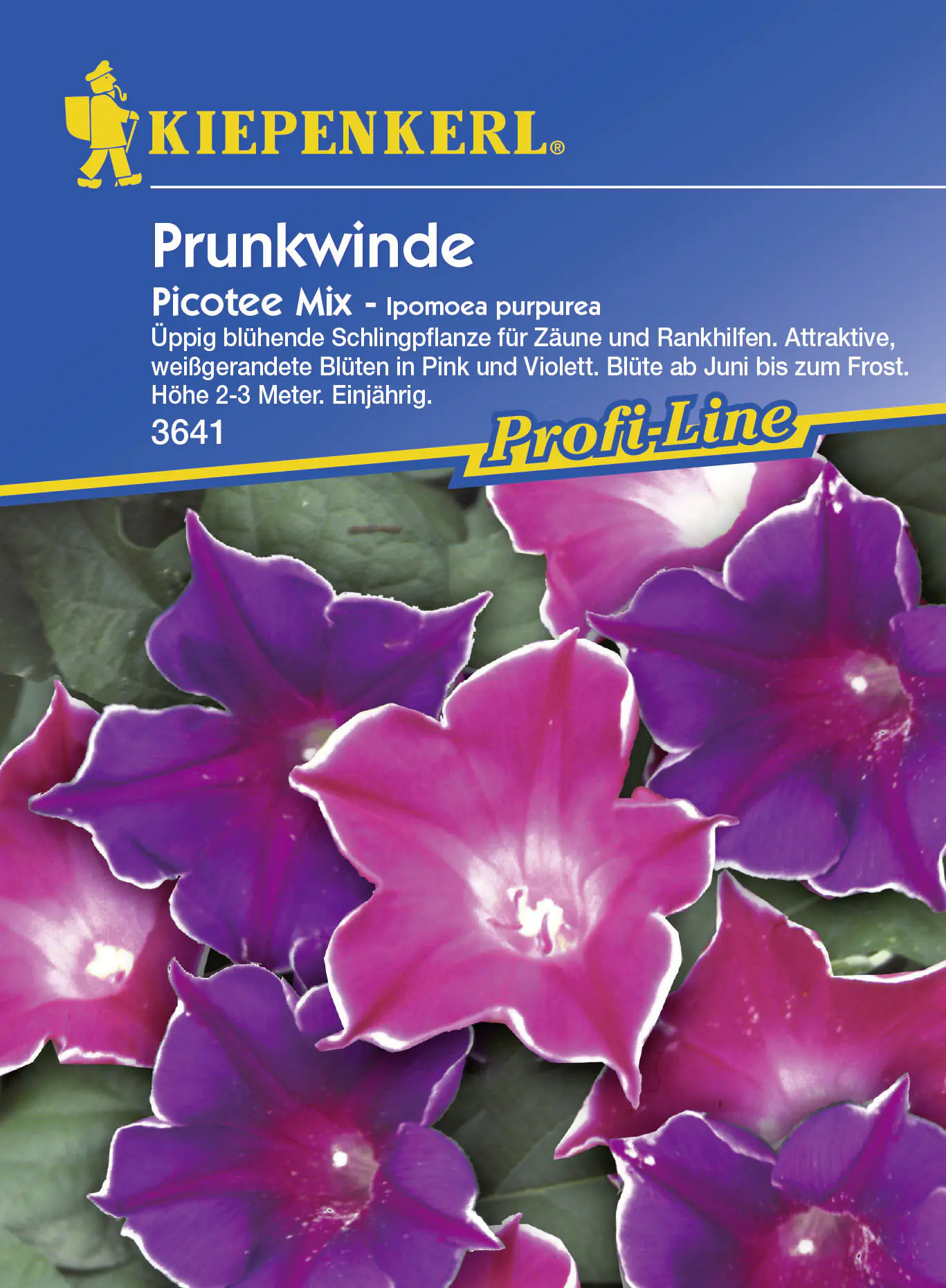 Kiepenkerl Prunk. Trichterwinde Picotee Ipomoea tricolor, Inhalt: ca. 20 Pflanzen