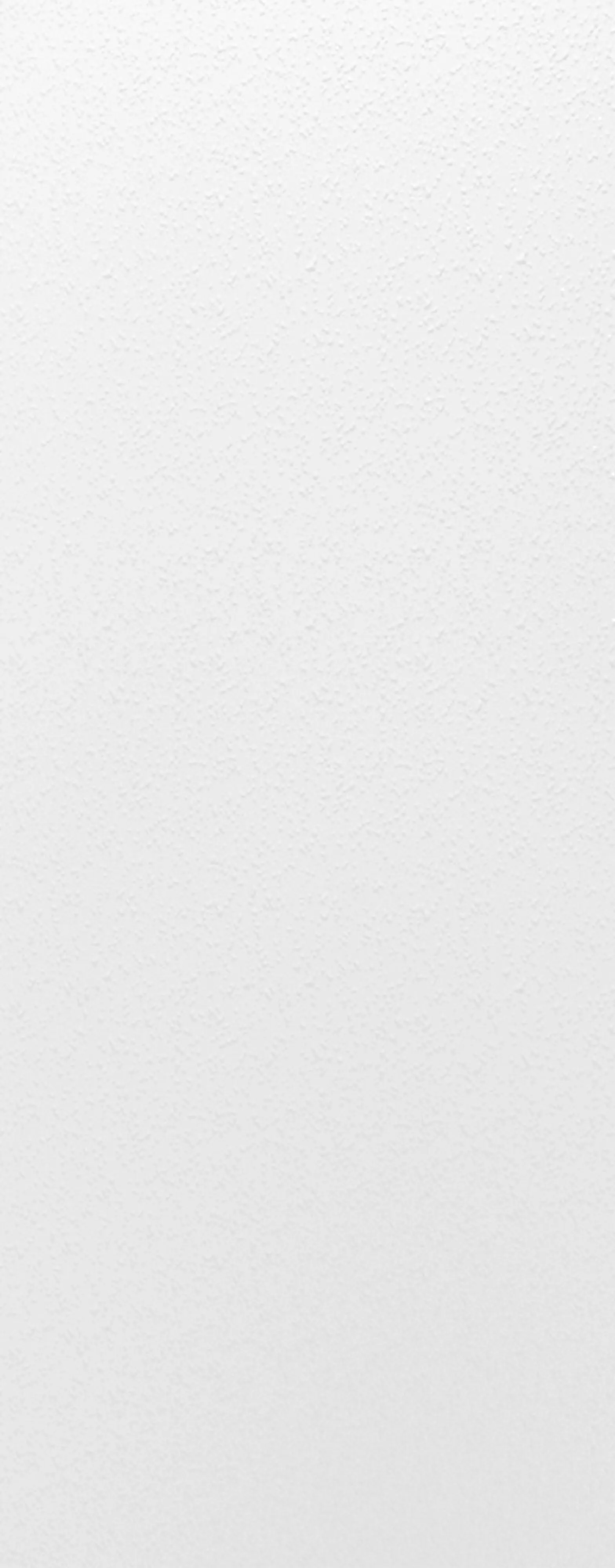 Schulte Duschrückwand DecoDesign Dekor 100 x 255 cm Stein weiß