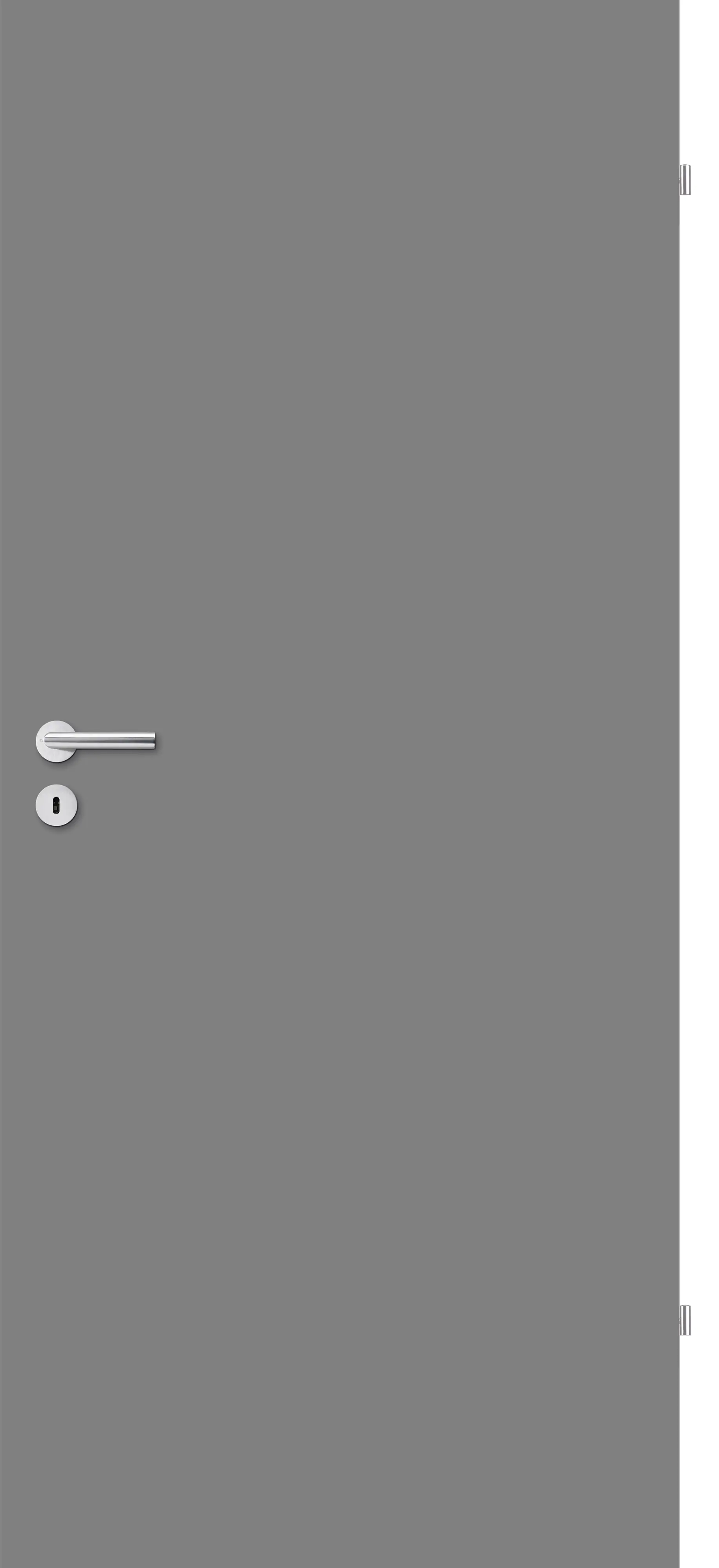 Borne Türblatt Lack edelgrau Röhrenspan